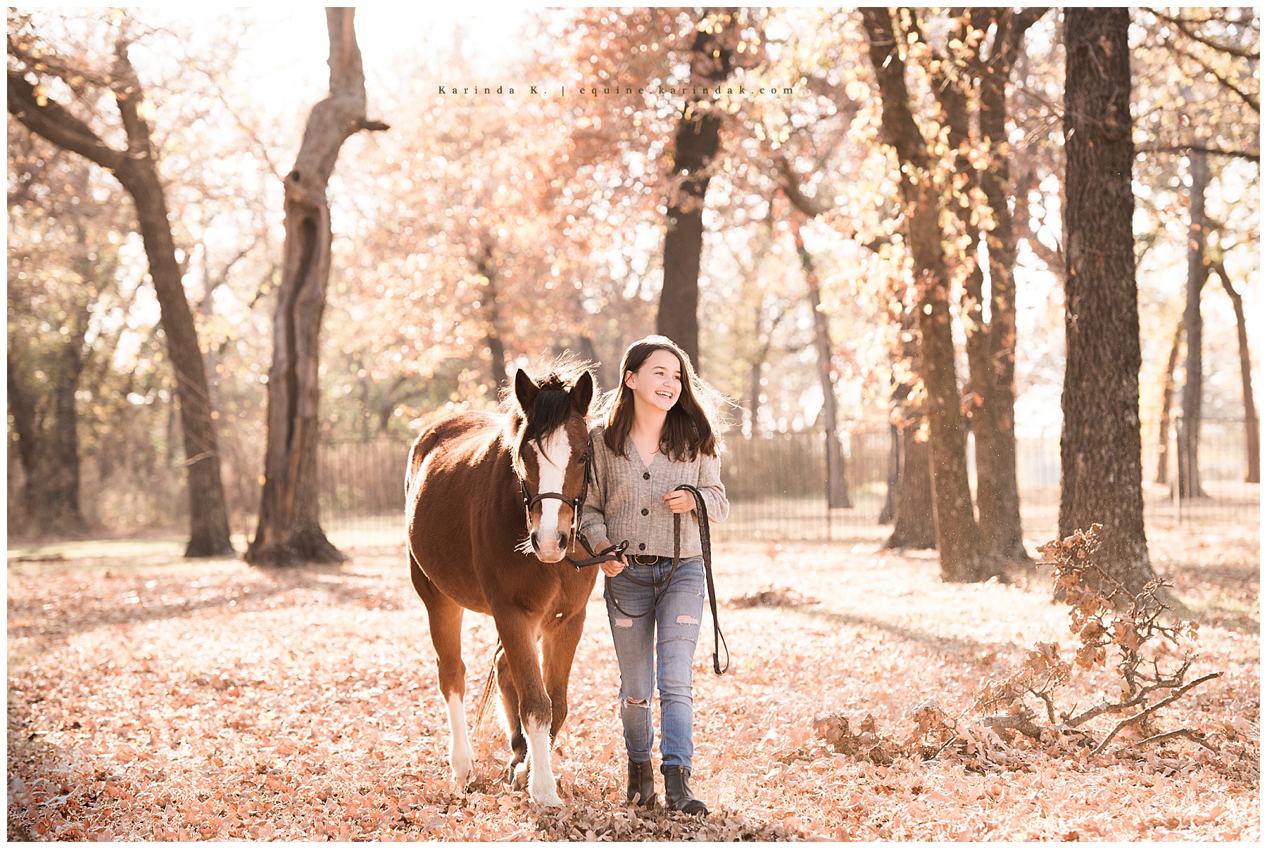 equine portrait session aubrey, tx