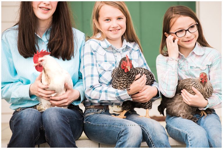 Family Portraits with Livestock | 4H Cows and Chickens | Montgomery,TX