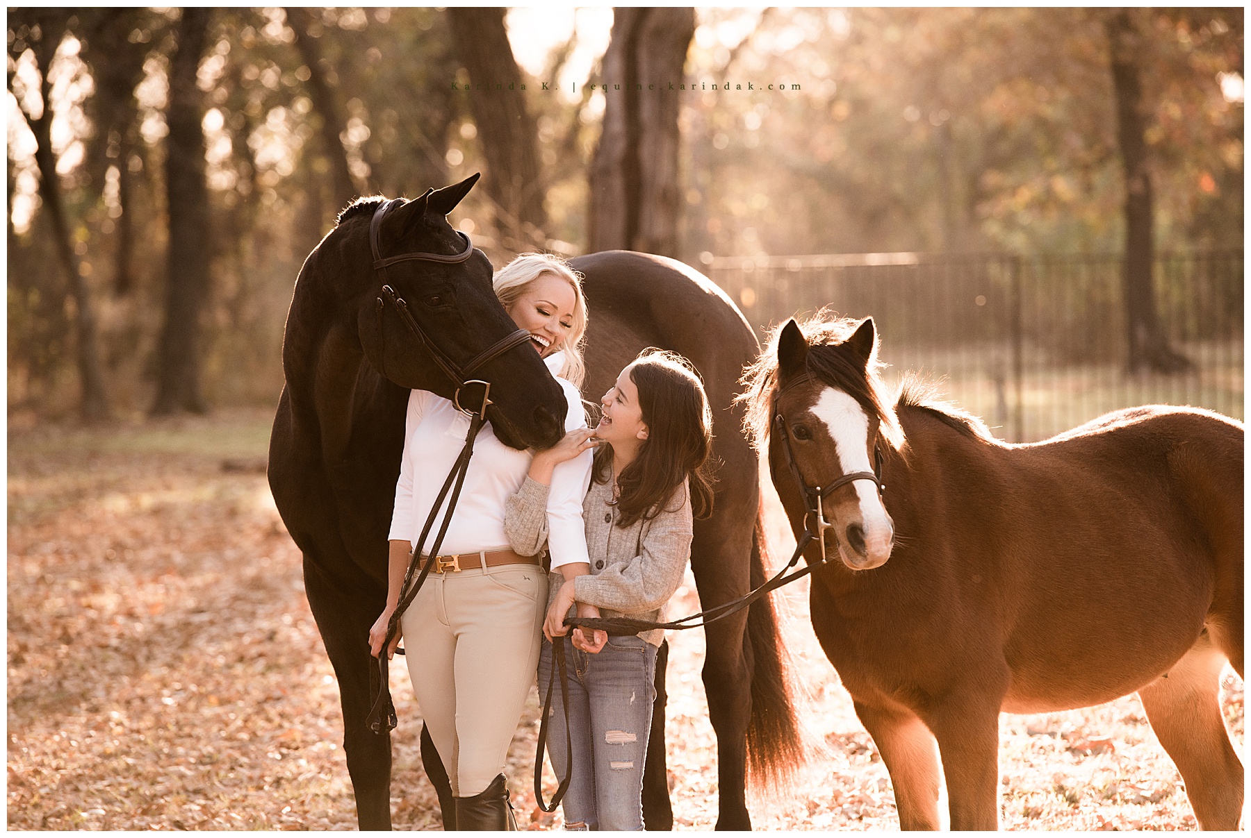 equestrian horse & rider portraits dallas, tx
