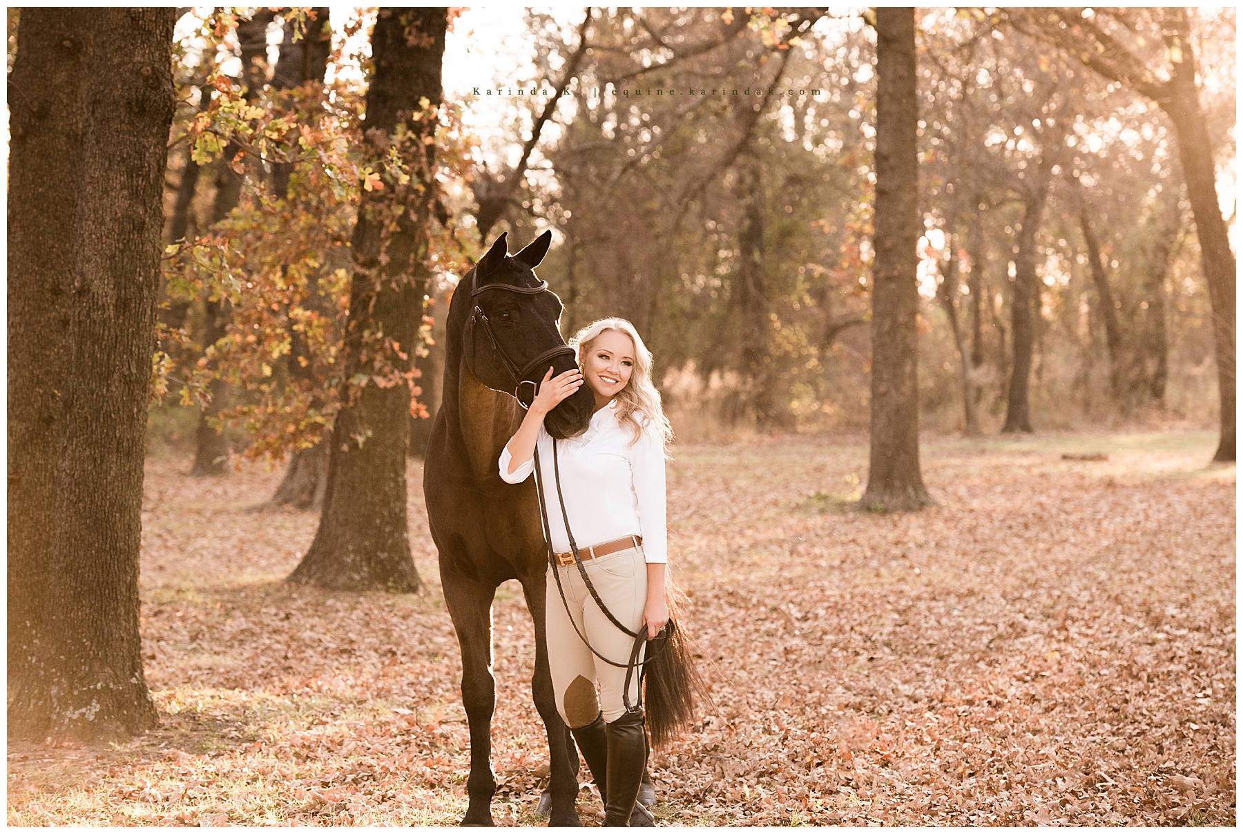hunter jumper horse & rider portraits dallas, tx
