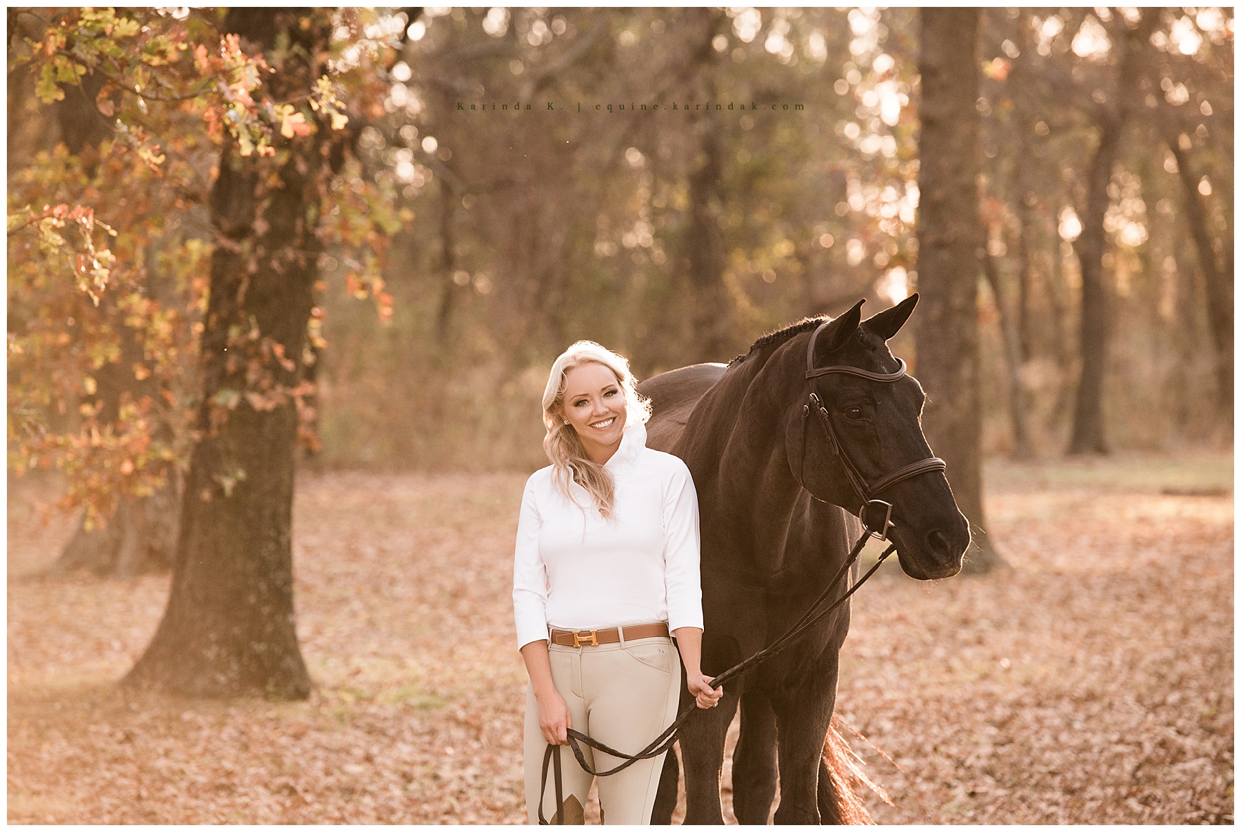 texas equine photographer 