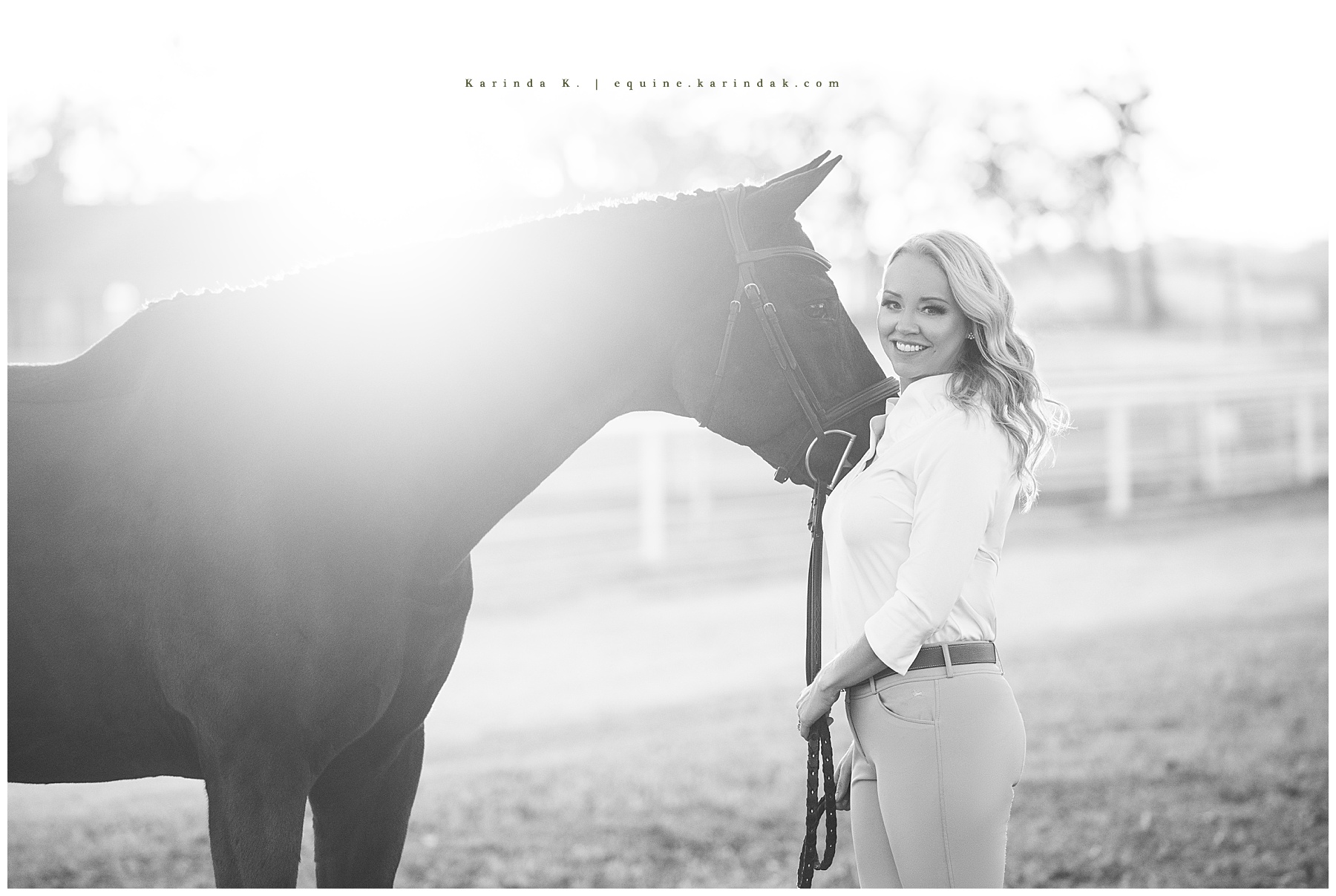 horse and rider portraits dallas tx