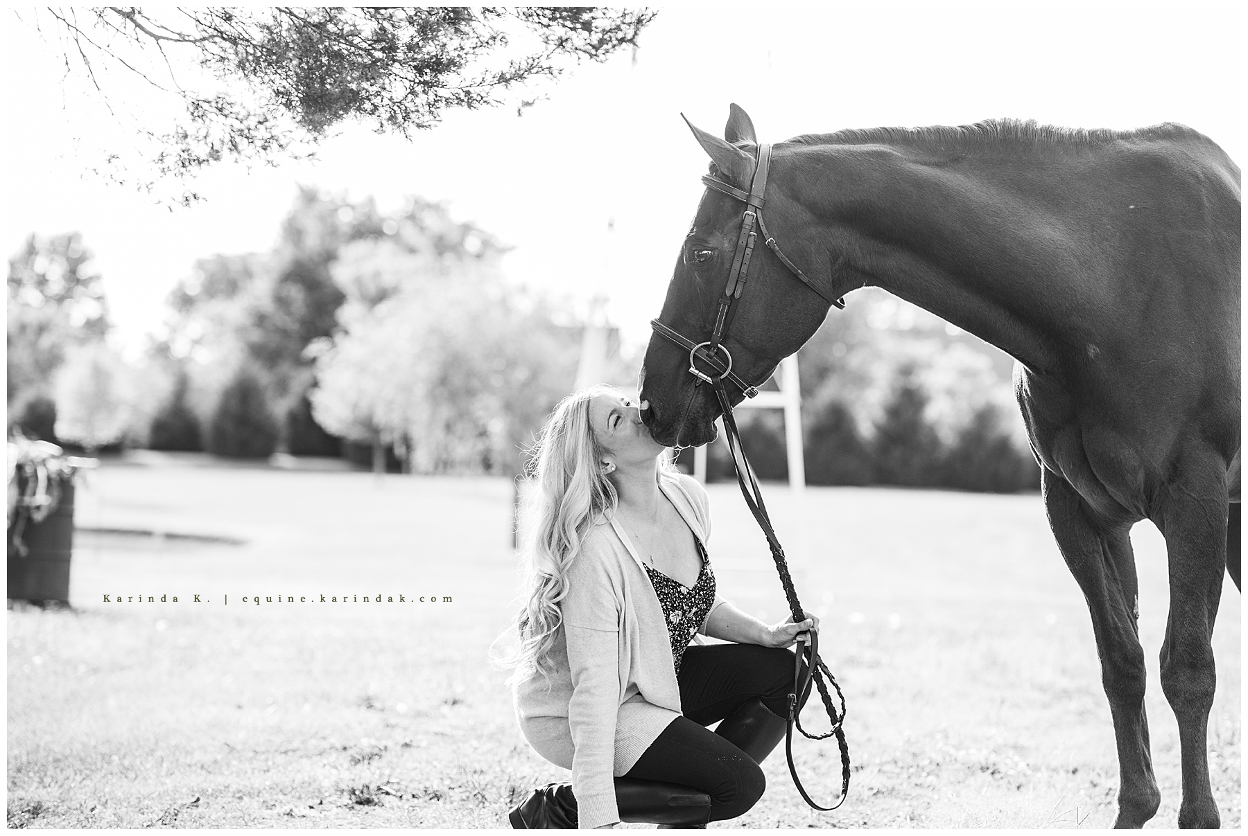 senior horse portraits 