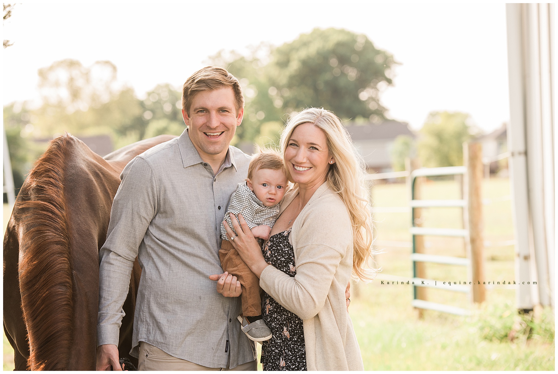 horse and family portraits 