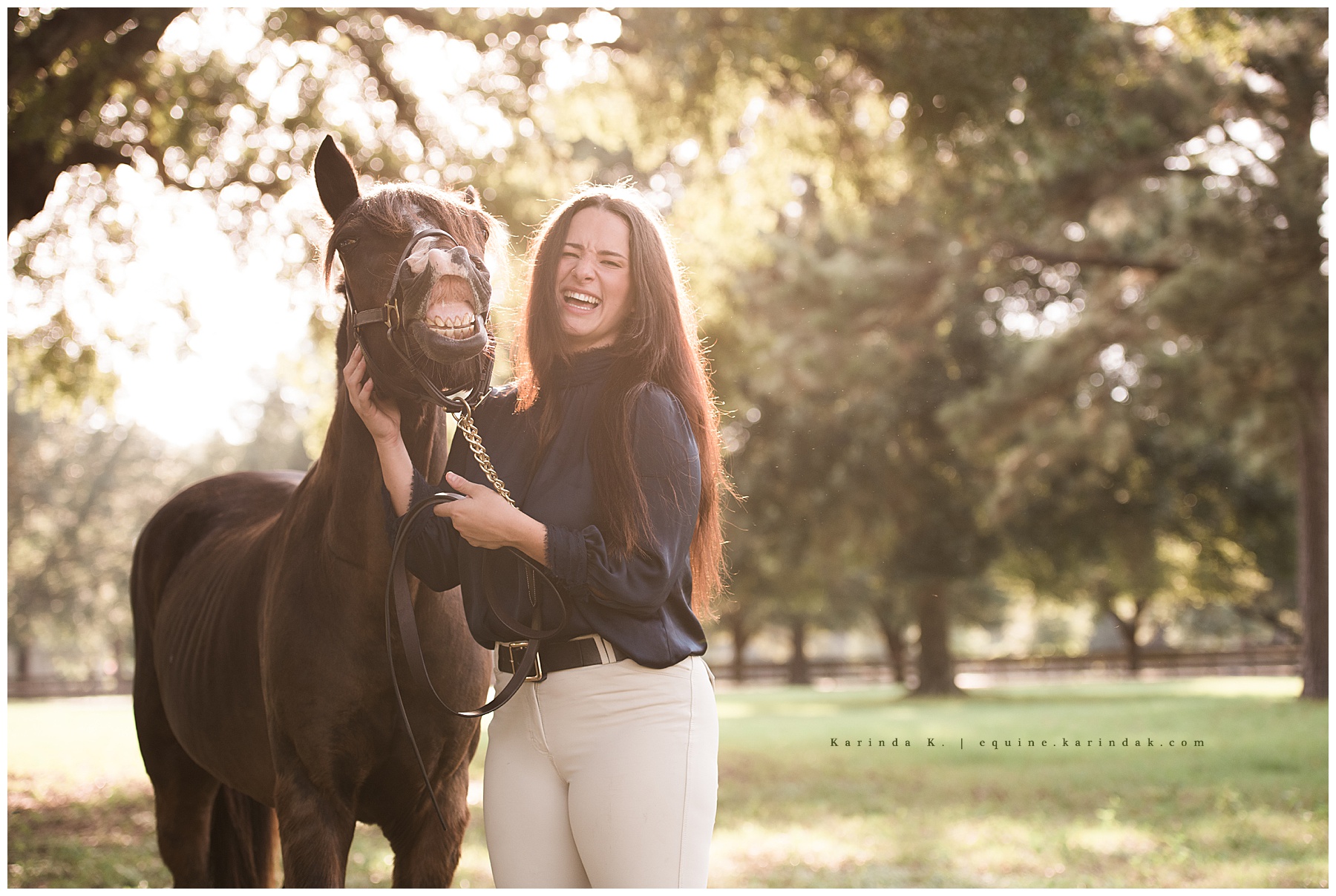 silly horse and rider portraits 