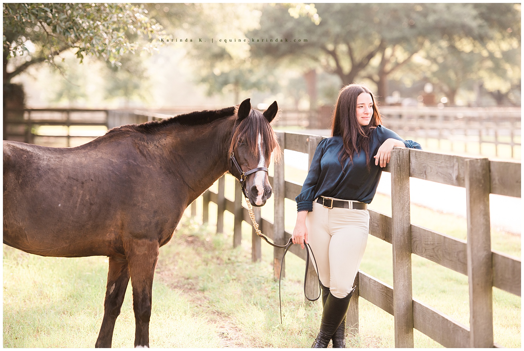 texas equine photographer 