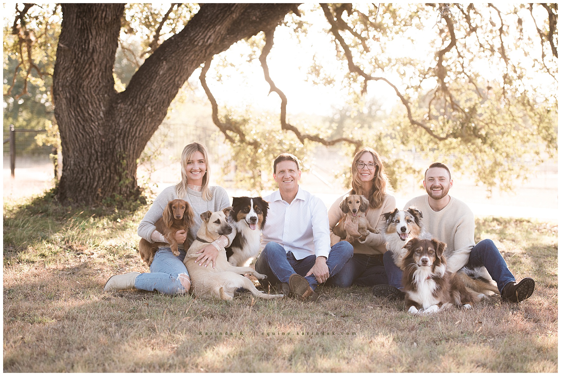 outdoor family portraits with all family dogs 