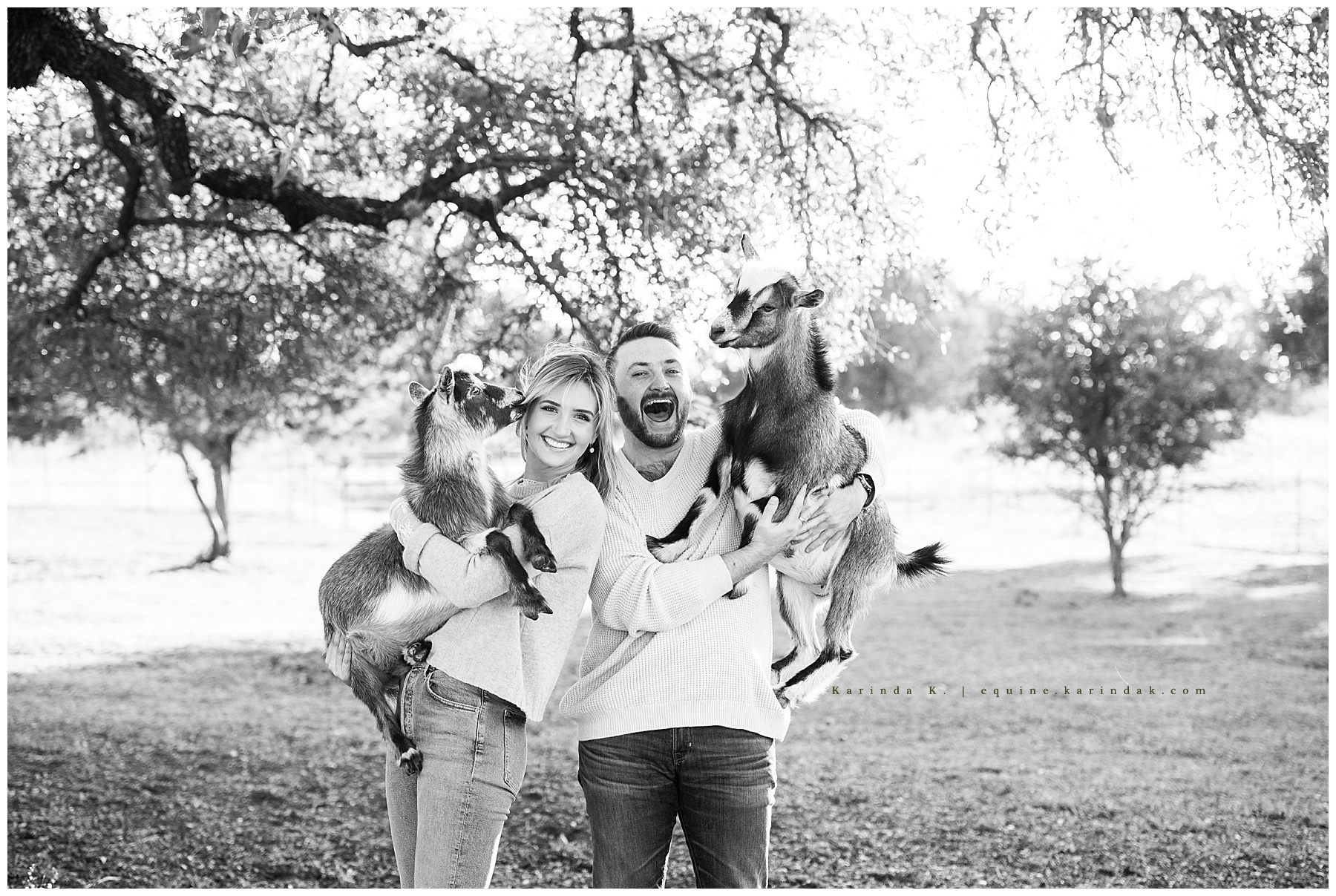 outdoor family portraits with goats black and white spicewood, tx