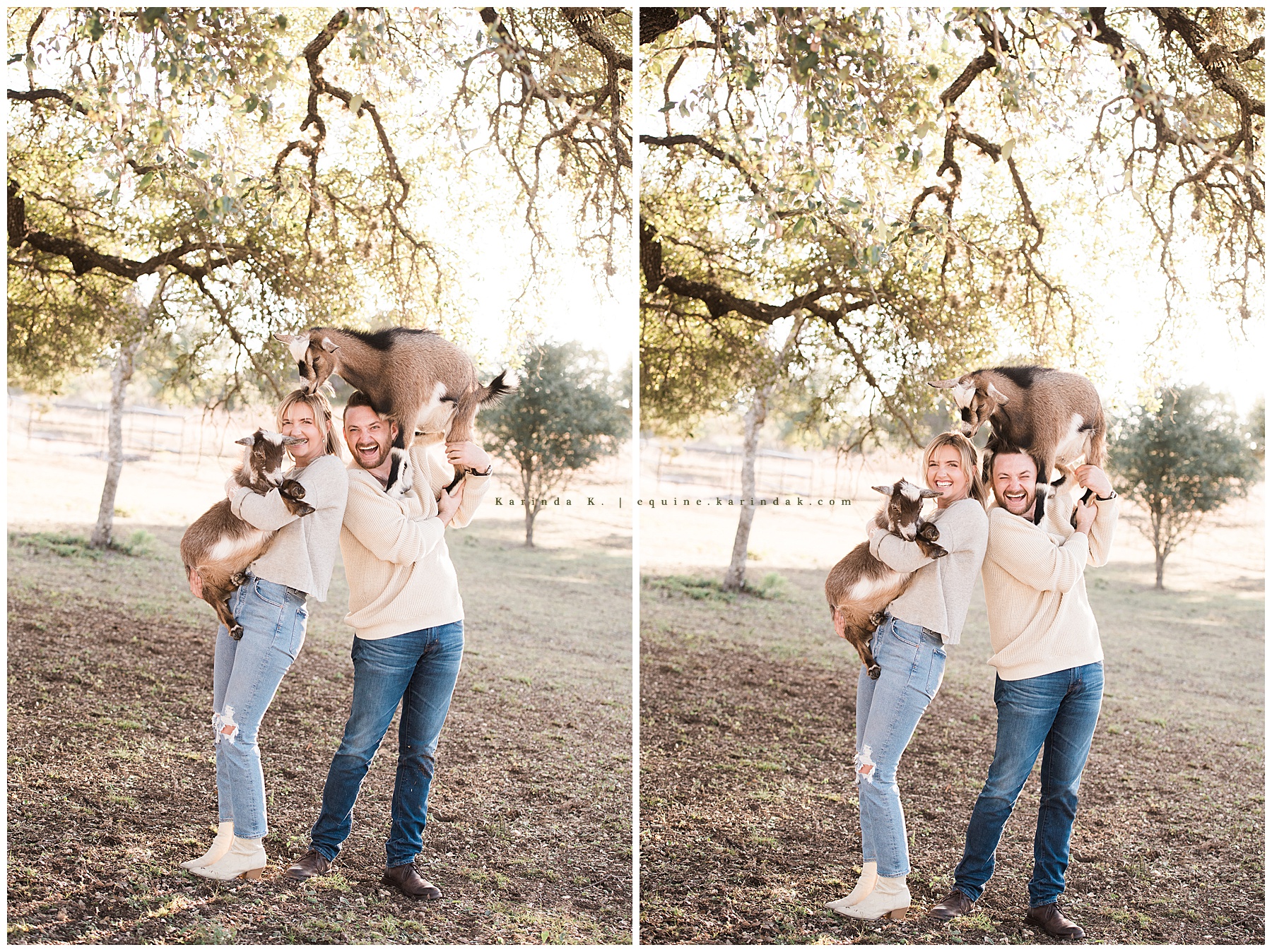 outdoor family portraits with goats in color spicewood tx