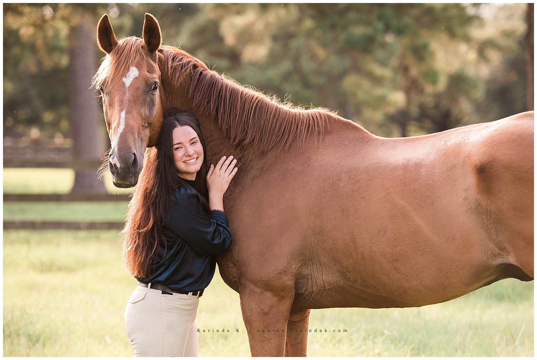 horse and rider chestnut portraits 