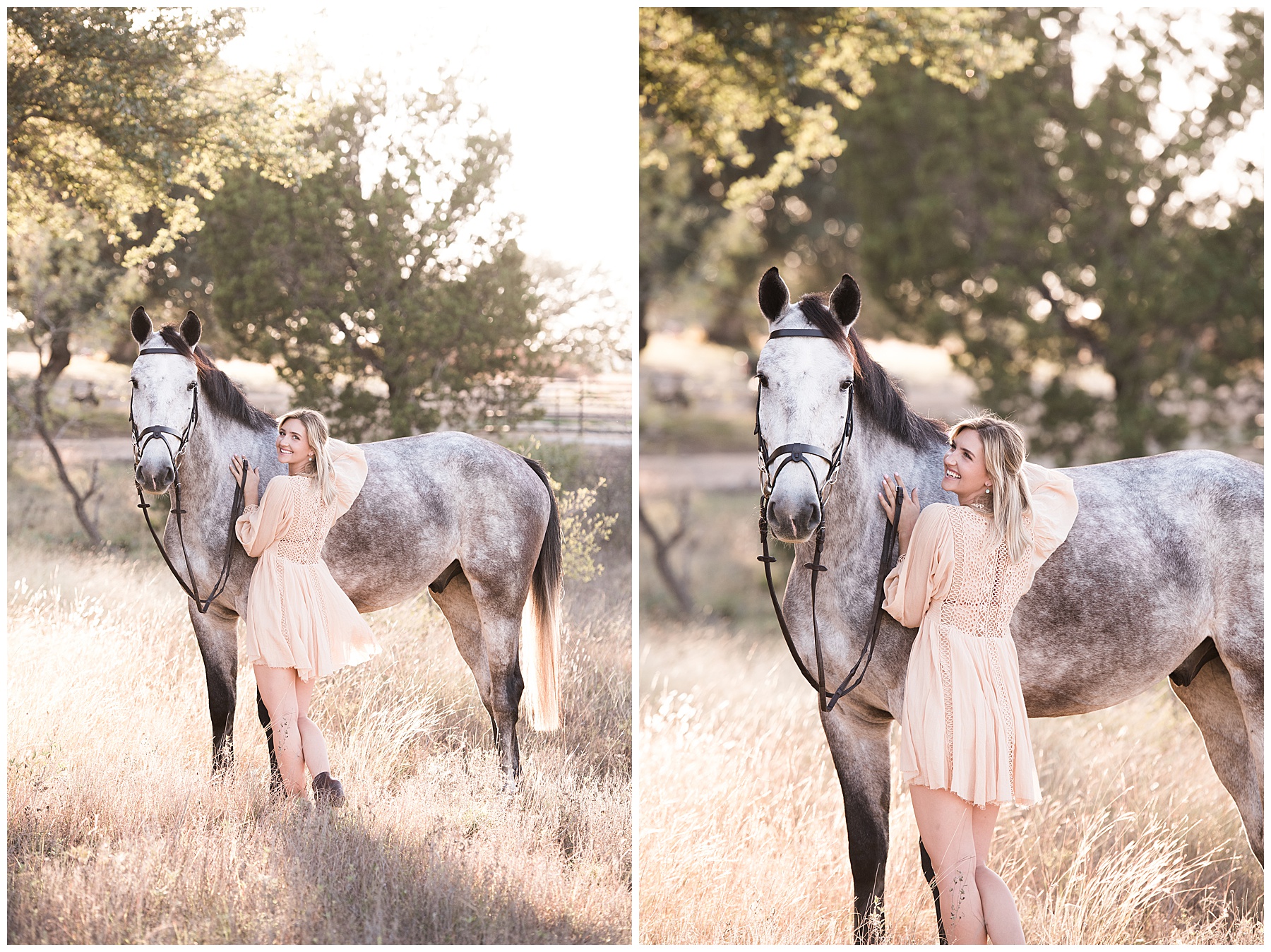outdoor family portraits with horse and rider in color houston tx
