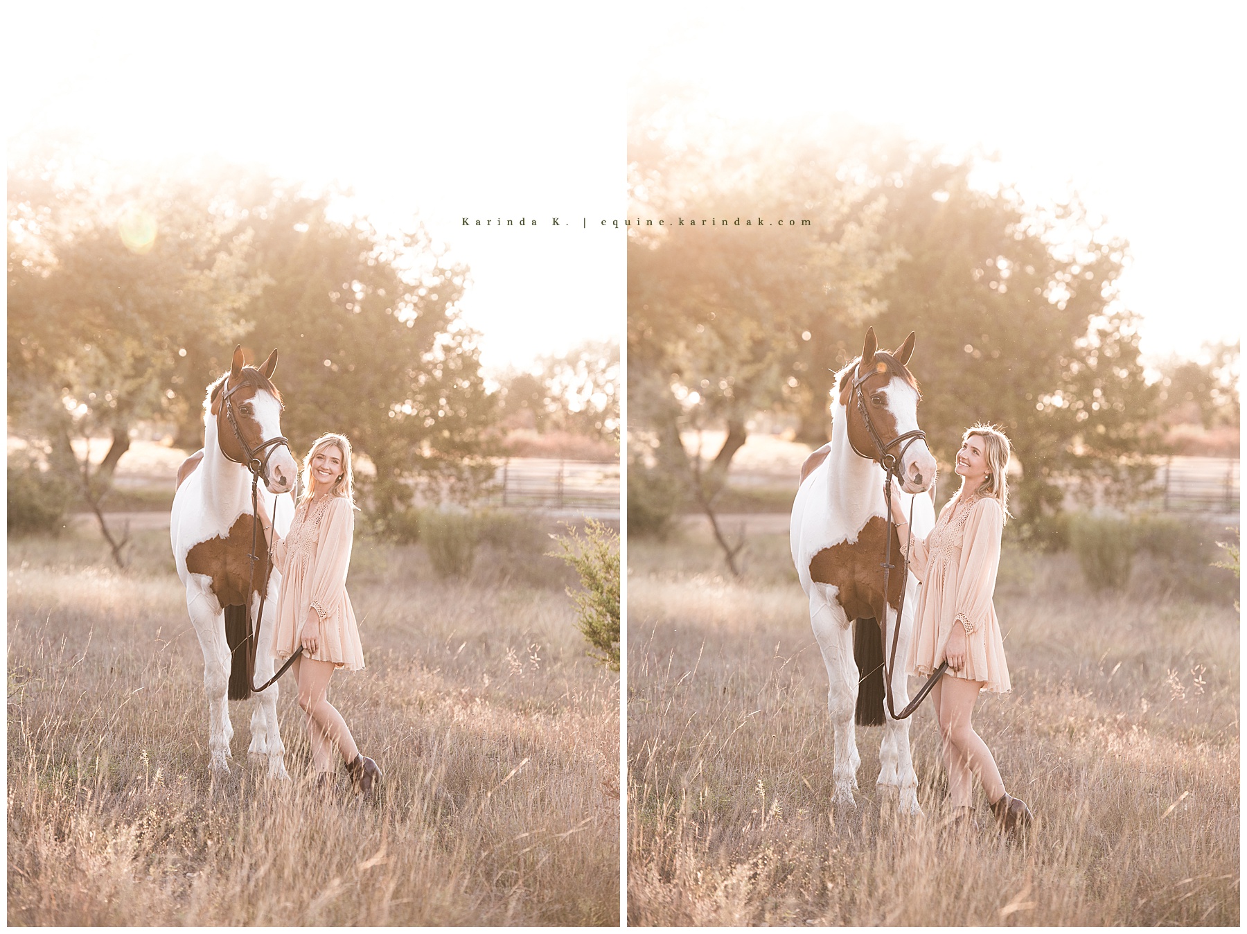sunset horse and rider portraits 