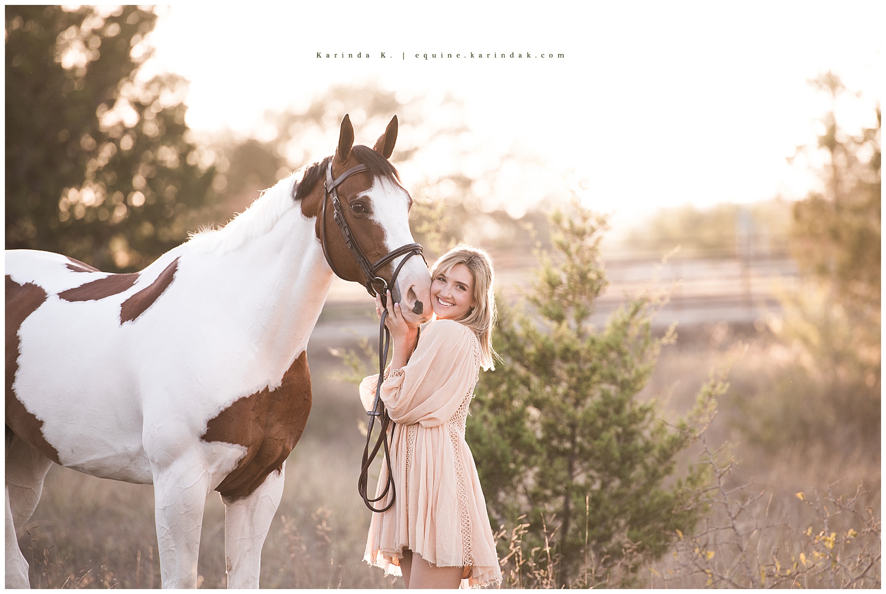 paint horse portrait