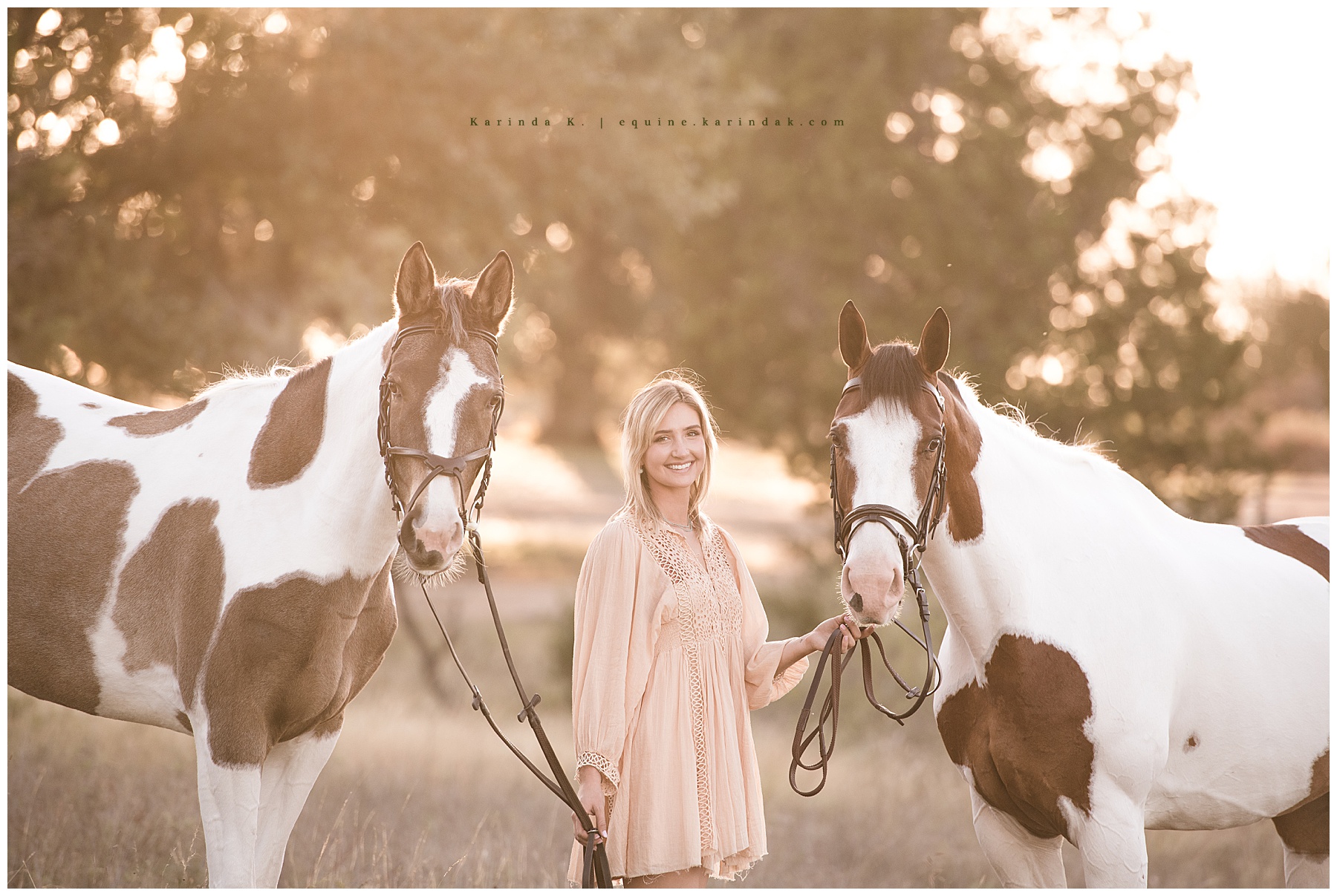 sunset portrait with multiple horses + paint horses cypress, tx