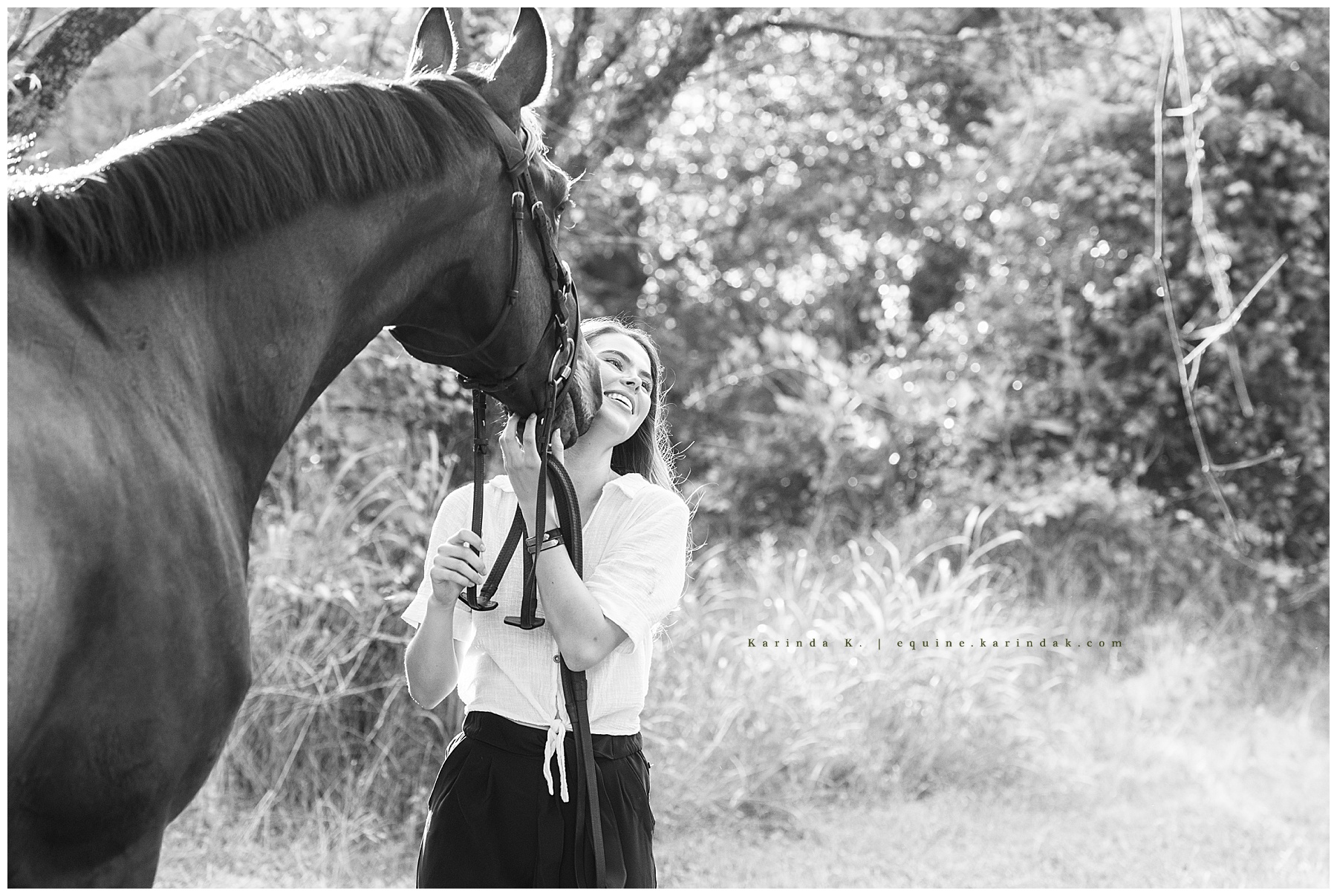 austin tx equine photographer 