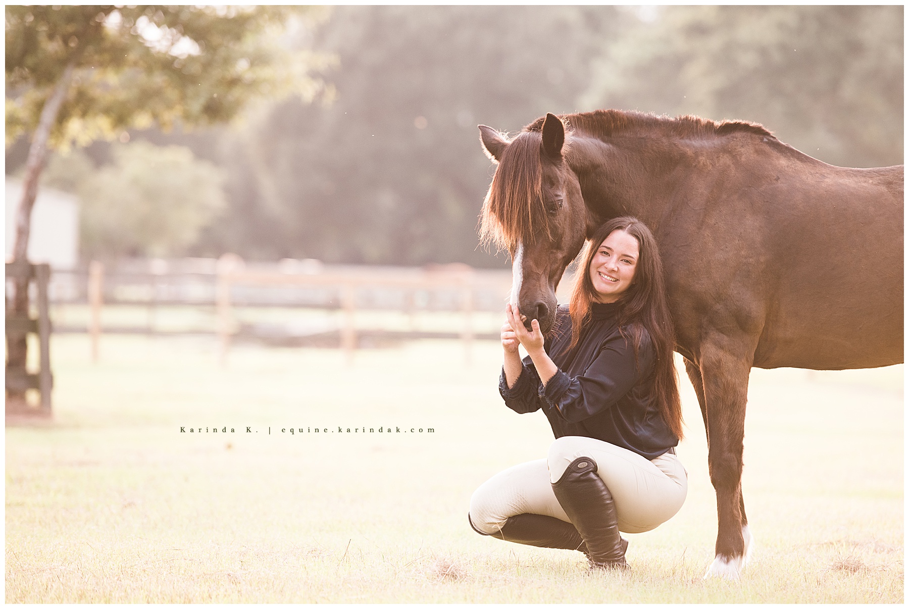 houston texas equine photographer 