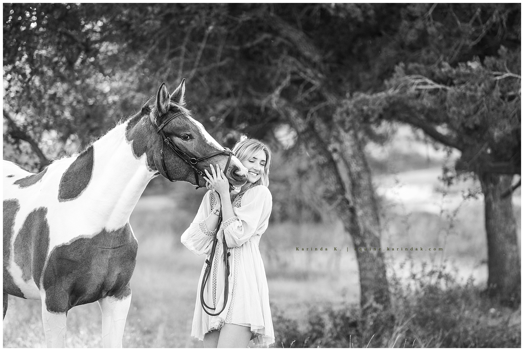 silly horse kisses portraits 