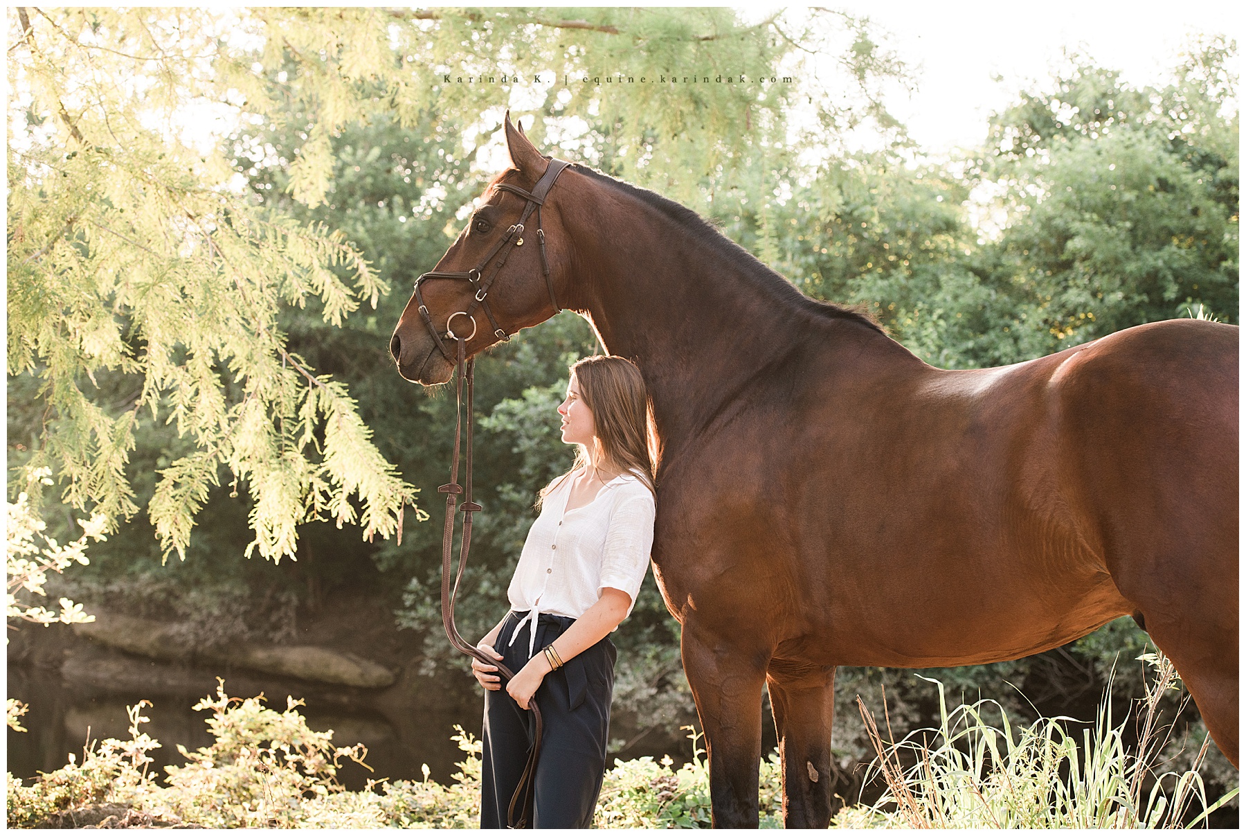 horse and rider poses 