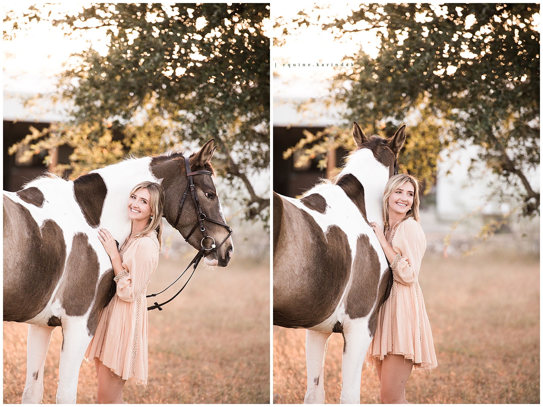 portraits with horse from side angle 
