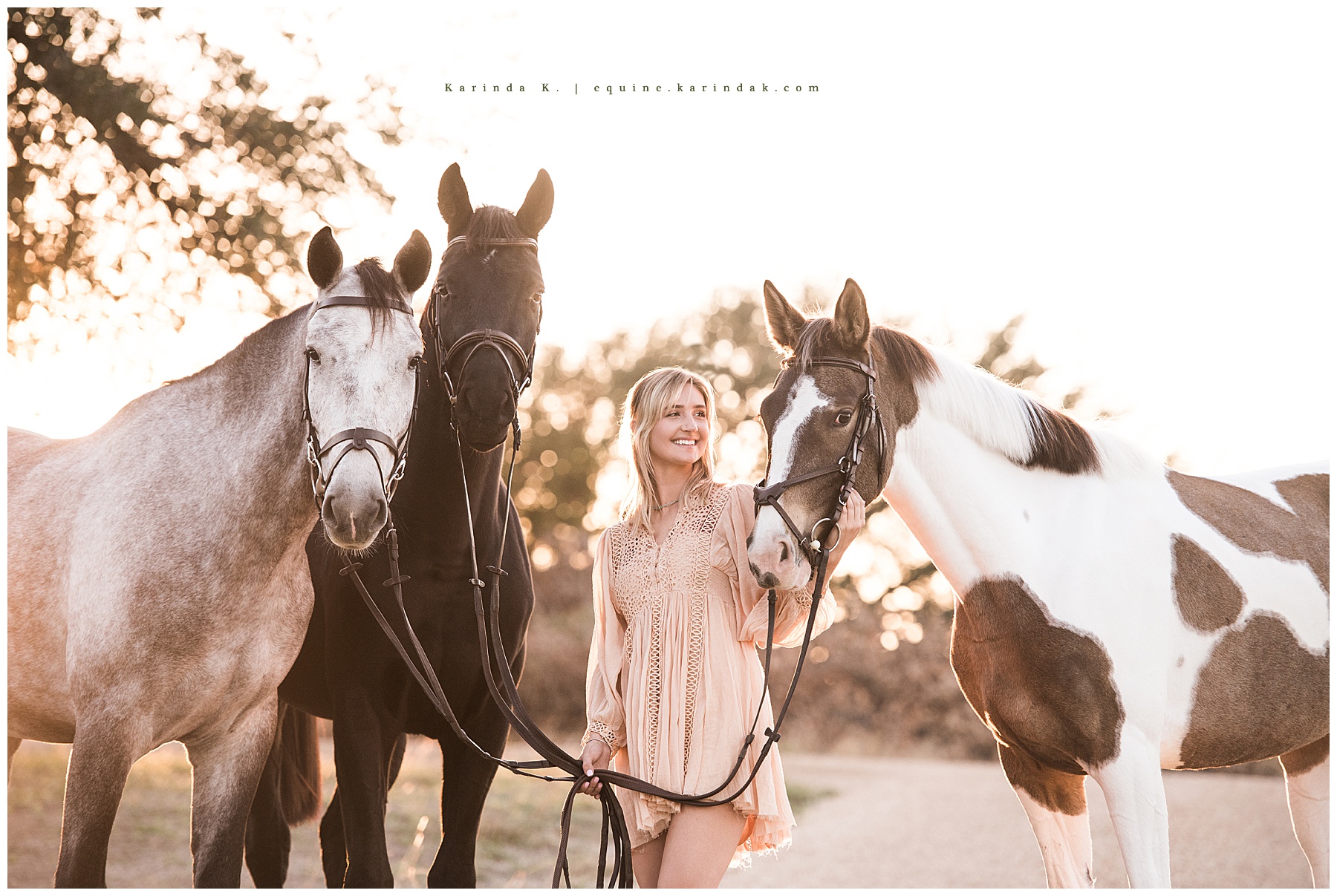 texas equine photographer 