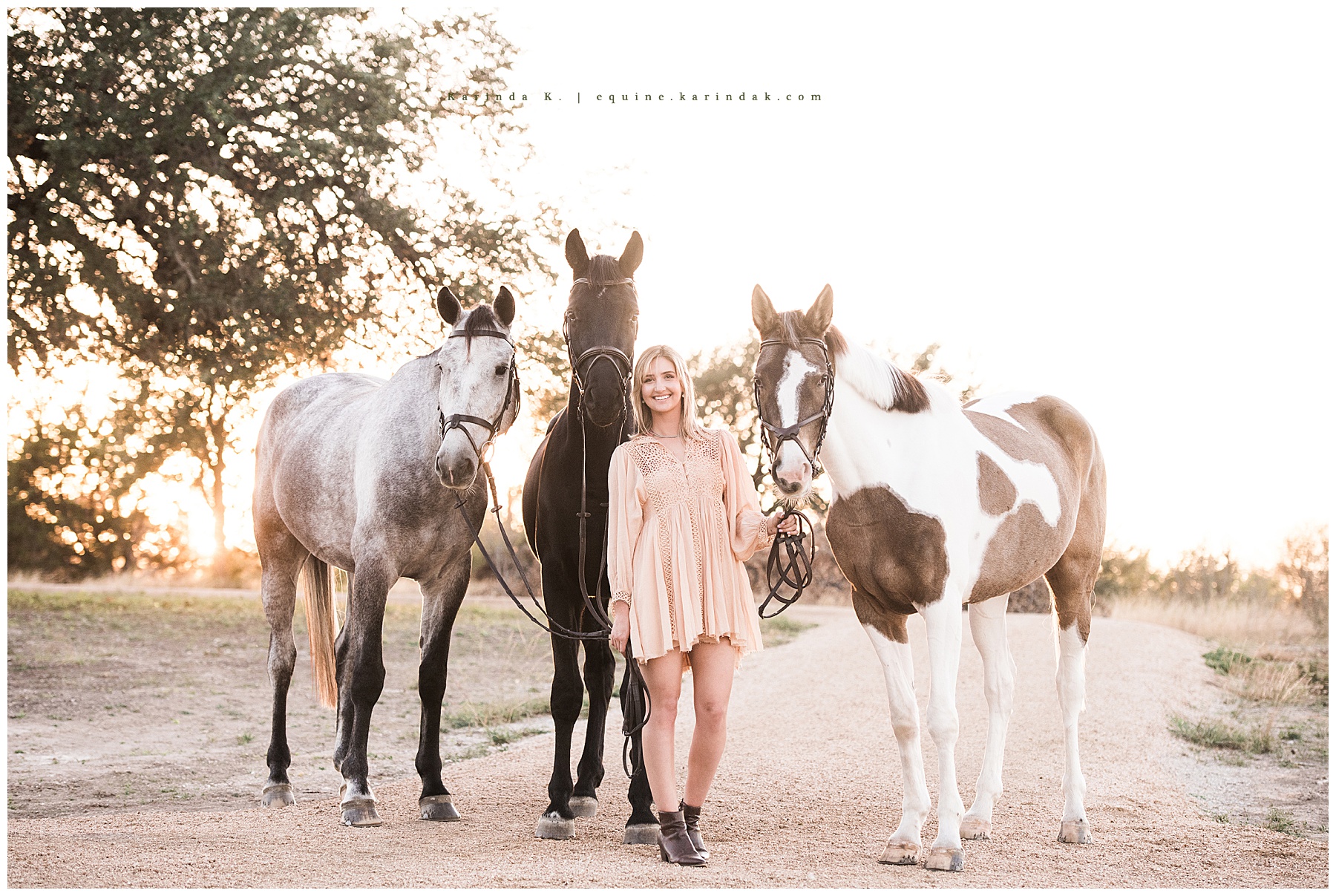horse and rider portraits with multiple horses poses 