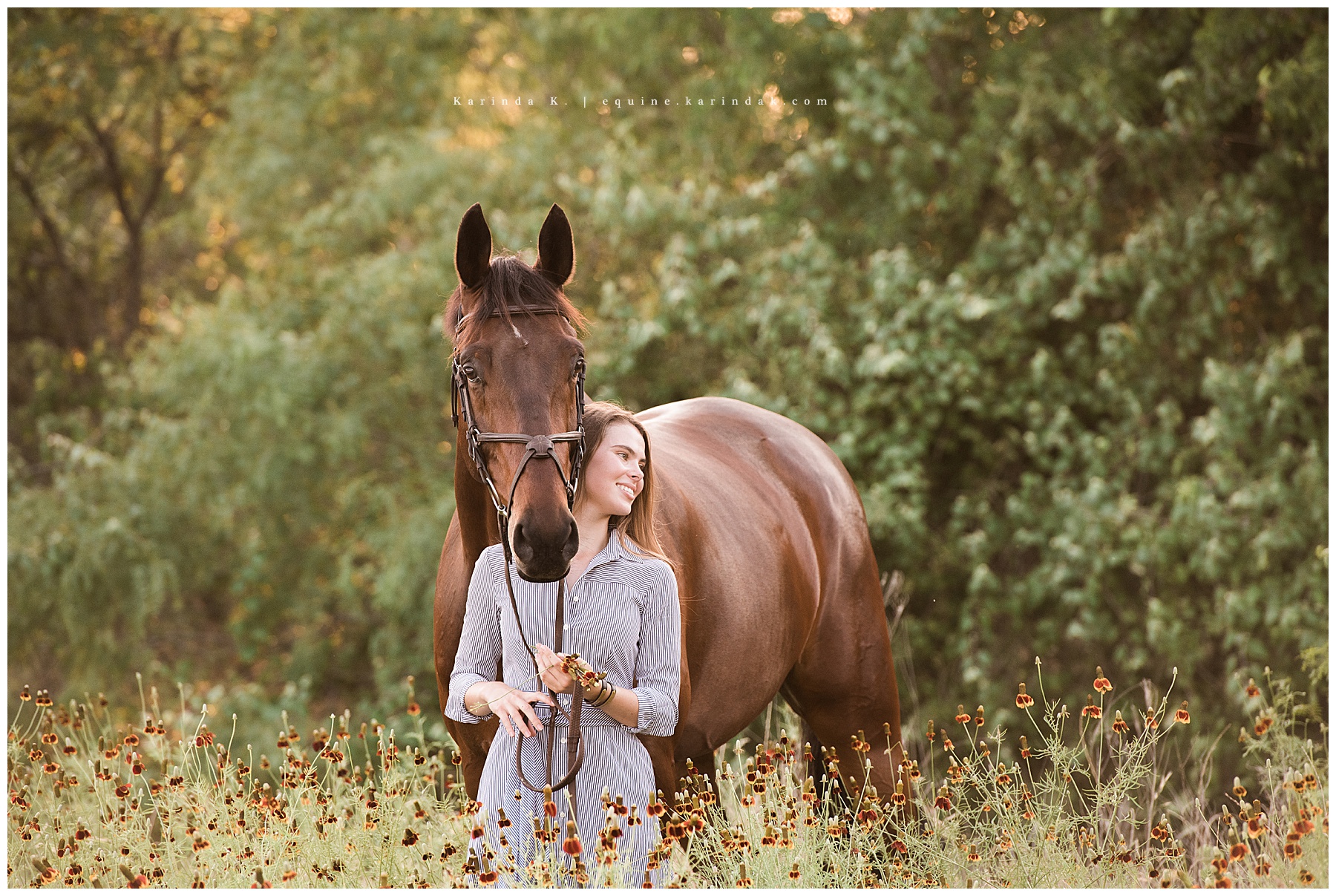 monarch stables austin, tx 