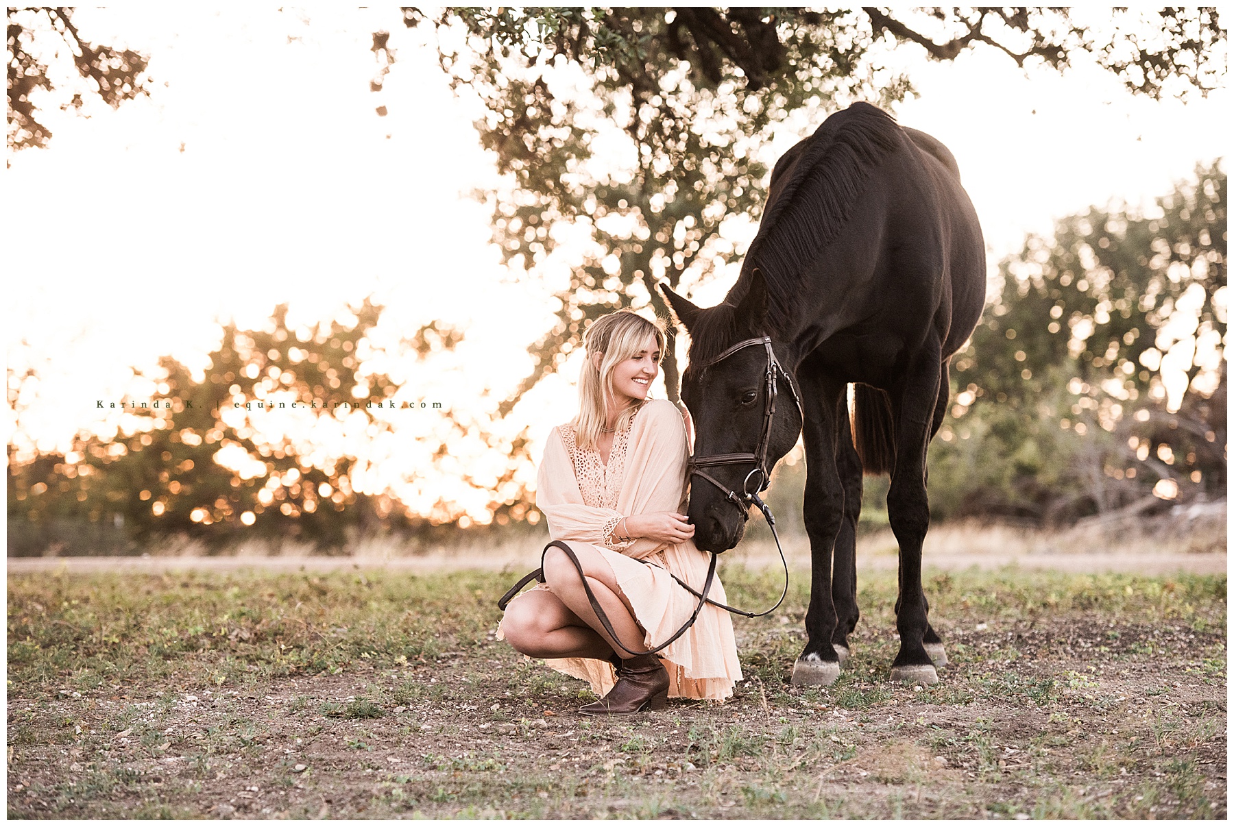horse and rider kneeling portraits houston, tx 