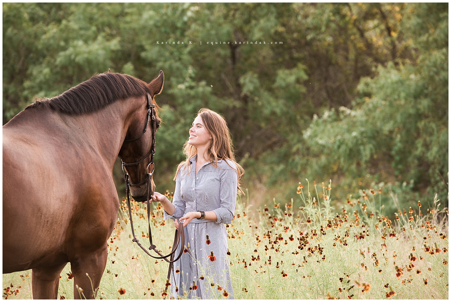 horse and rider portraits monarch stables austin tx 