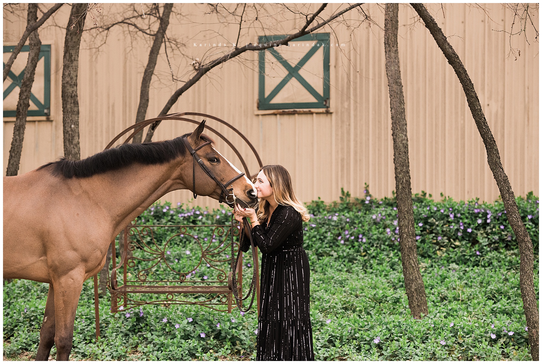 Dallas Equine Photographer Horse and Rider Portraits Windswept Farms 