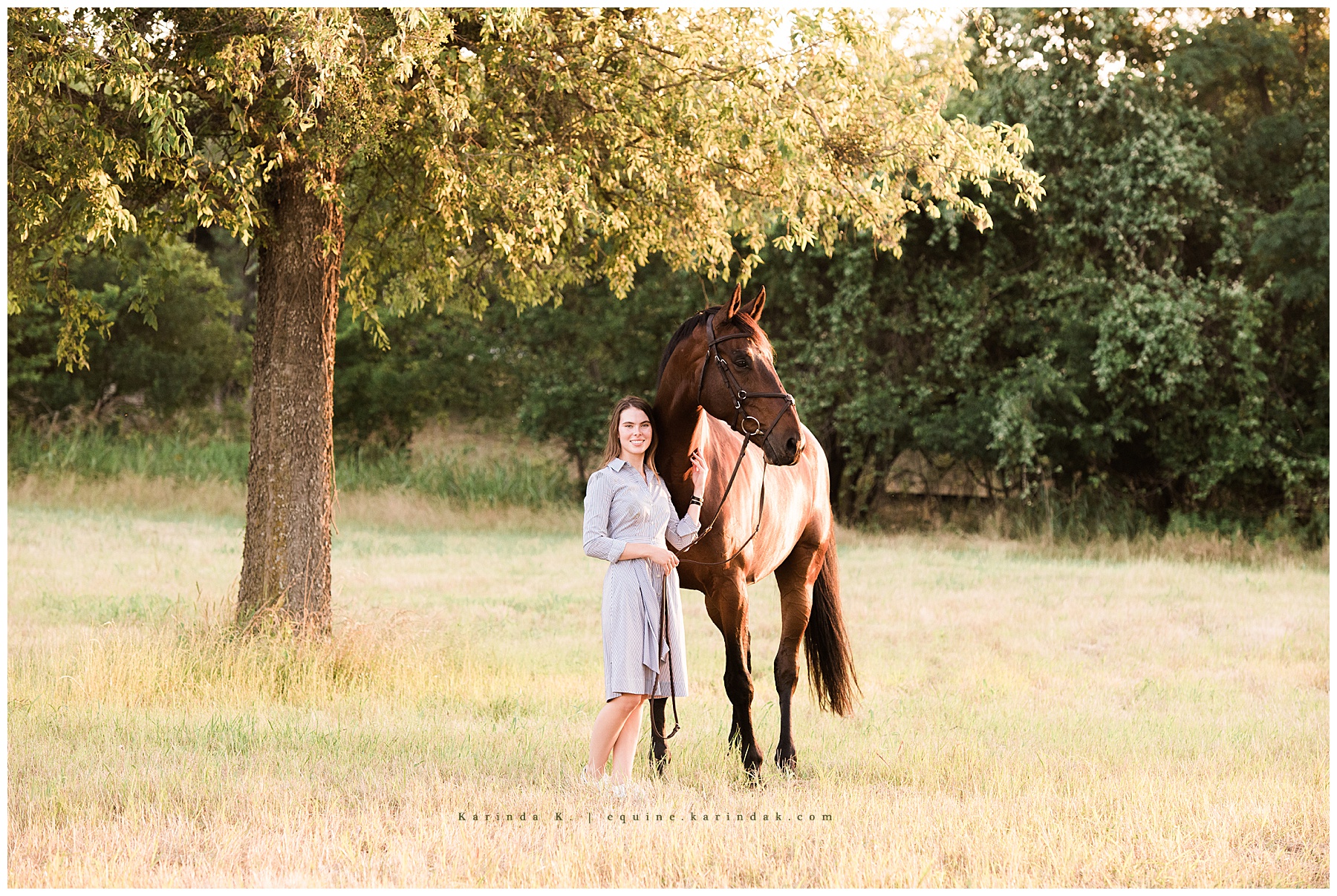 senior horse and rider portraits austin tx