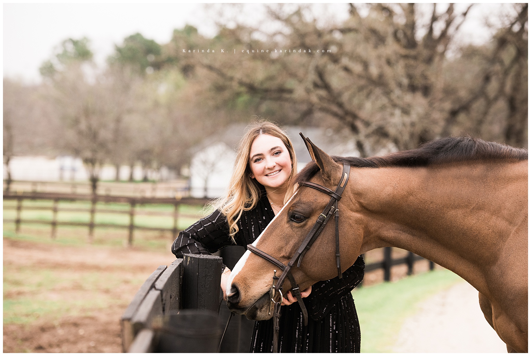 Dallas Equine Photographer 