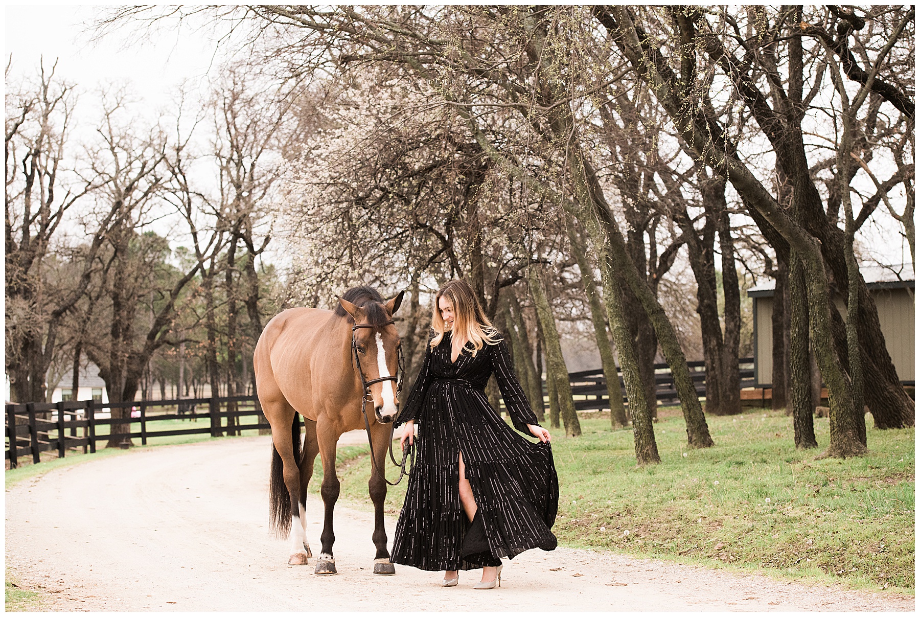 Horse and rider portraits wearing long black dress 
