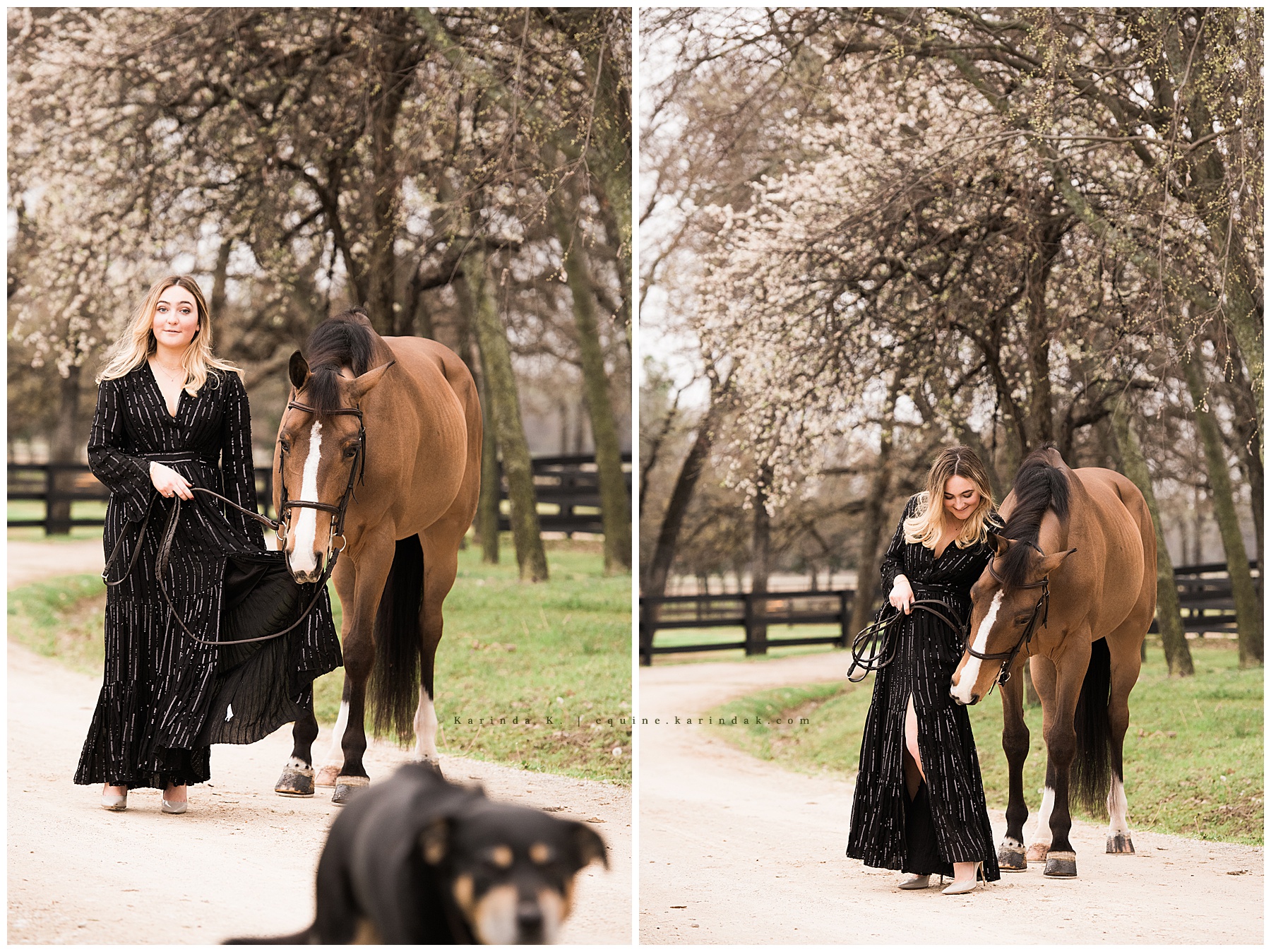 horse and rider portraits in long black dress and heels Windswept Farms Argyle, TX 