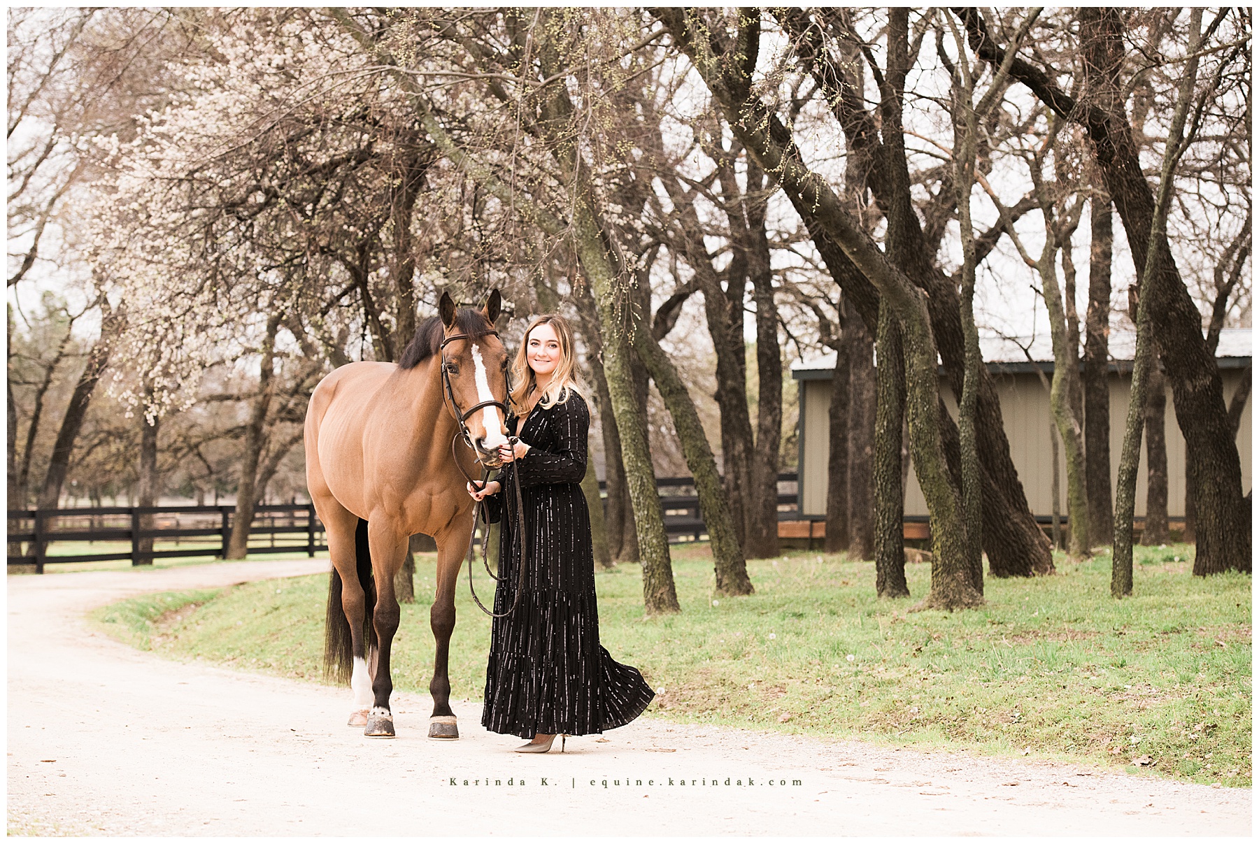 Windswept Farms Argyle, TX Horse and Rider Portraits 