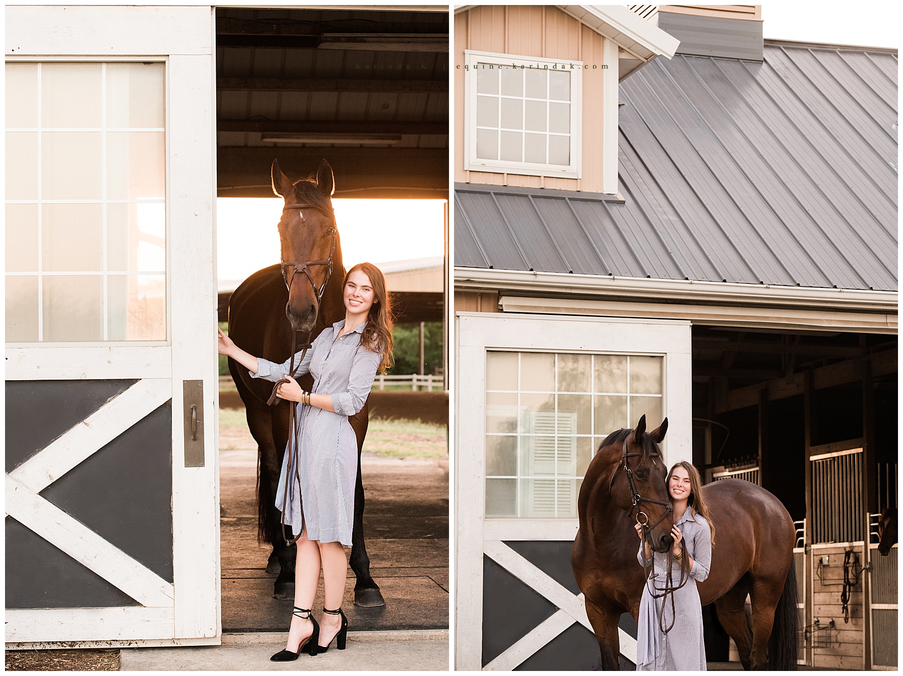 senior horse portraits austin tx