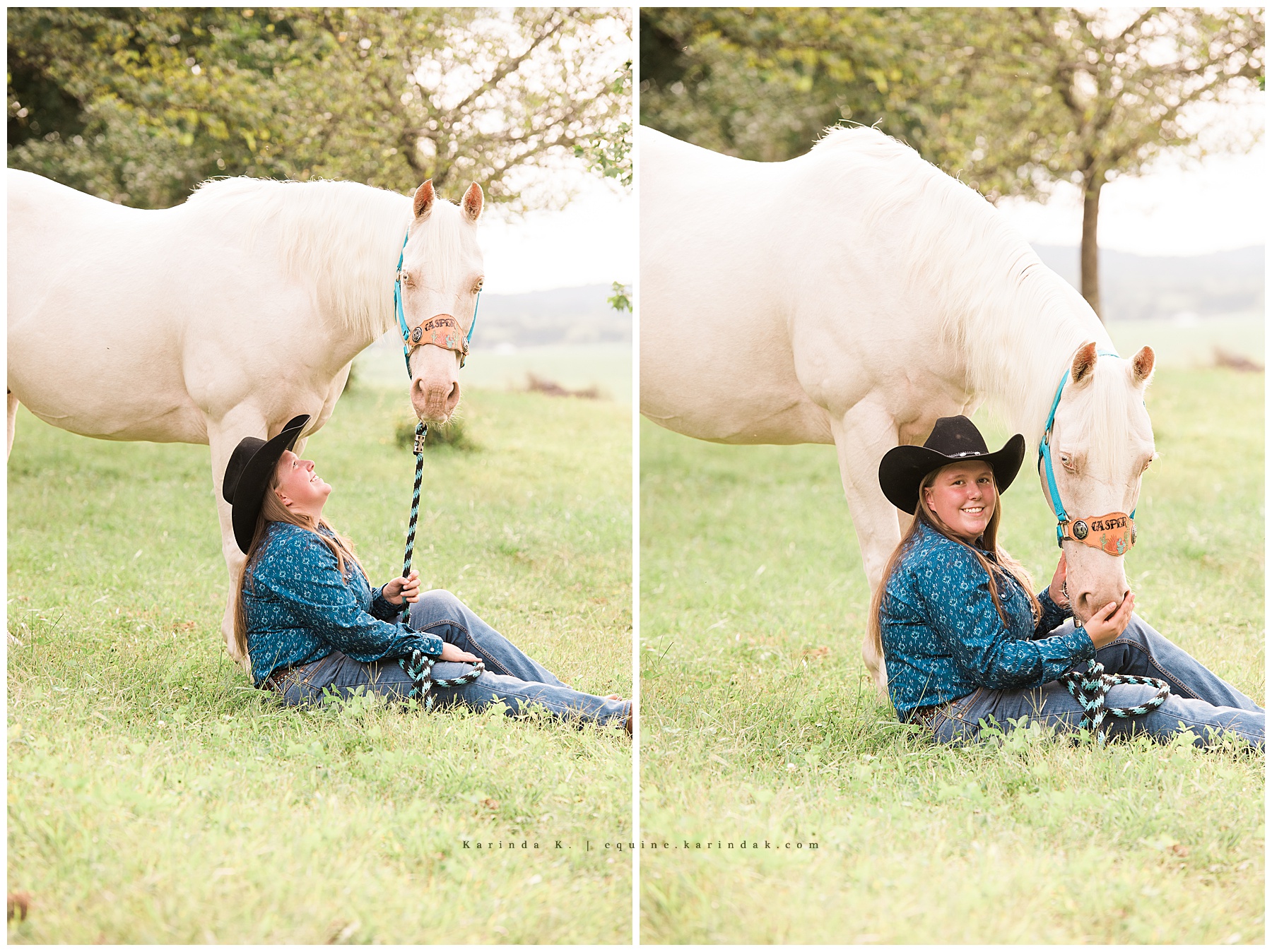 horse and rider grass field posing 