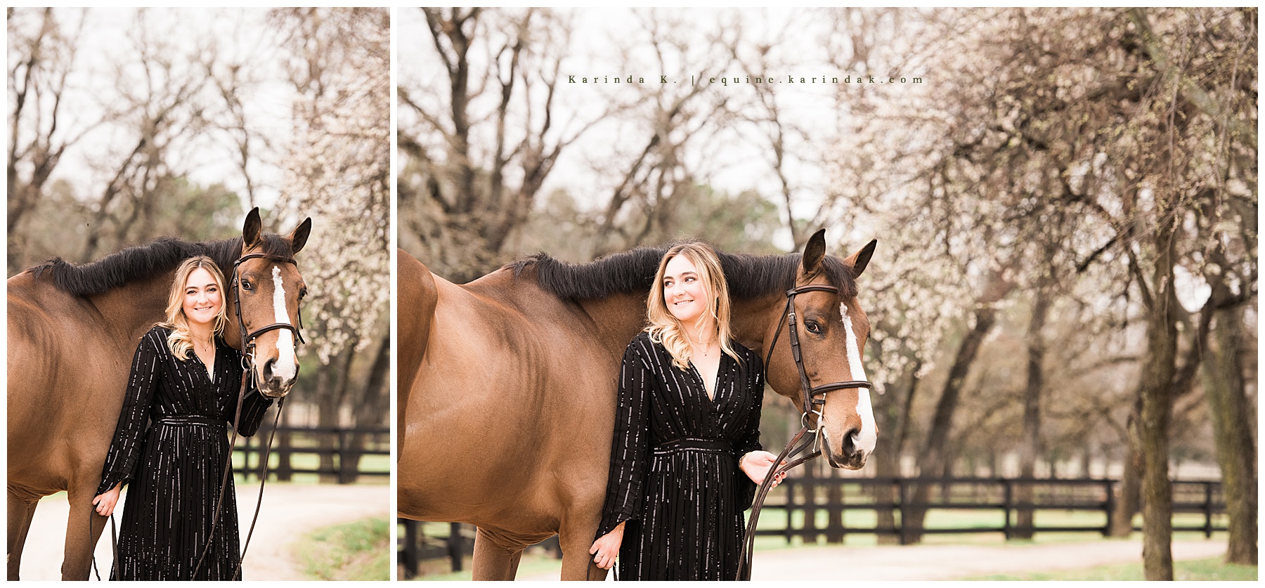 horse and rider outdoor portraits dallas, tx 