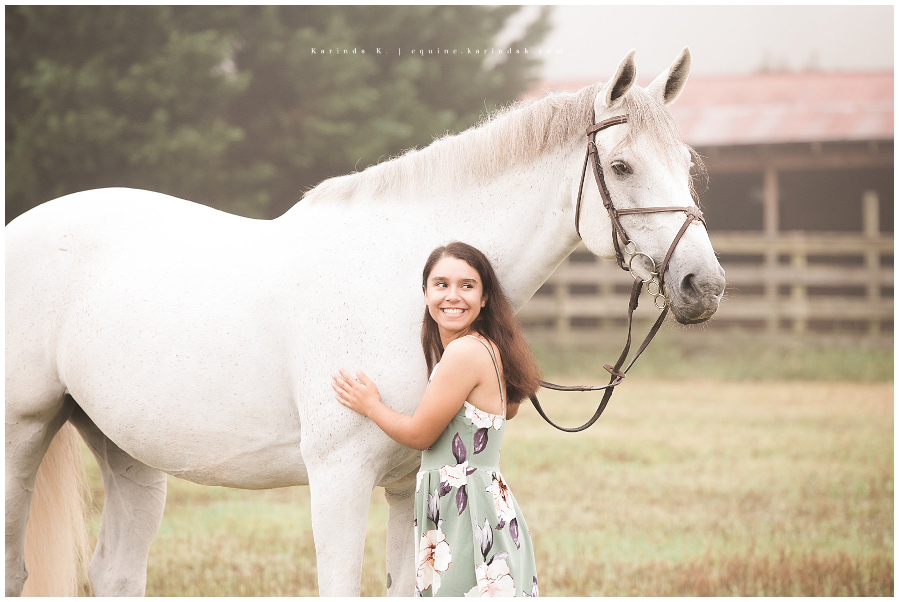 Georgia equine photographer 