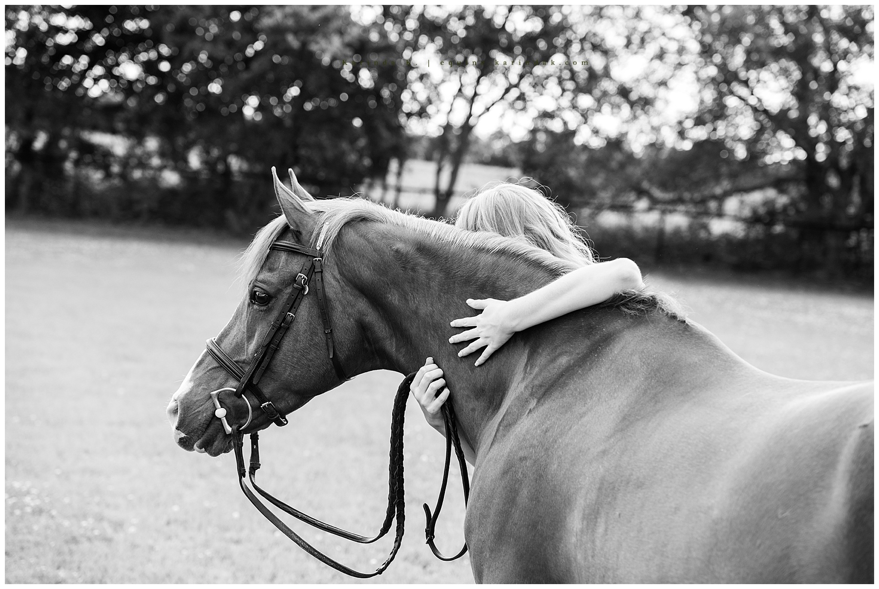 horse and rider snuggle portraits 