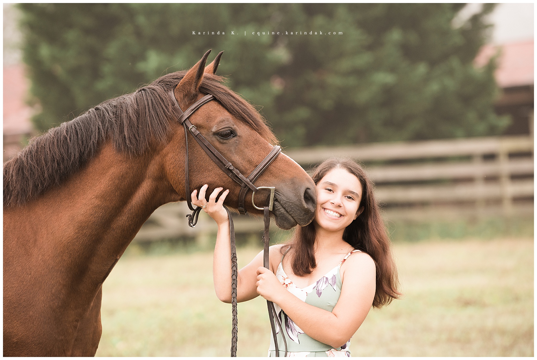 horse and rider up close portraits 