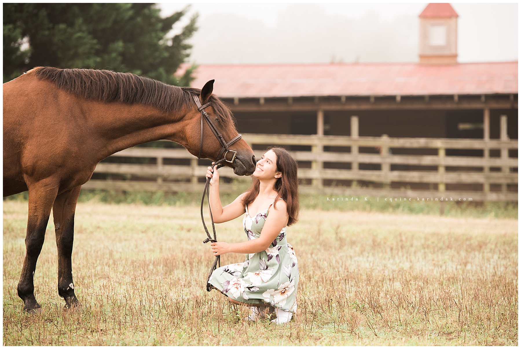 horse and rider portraits 