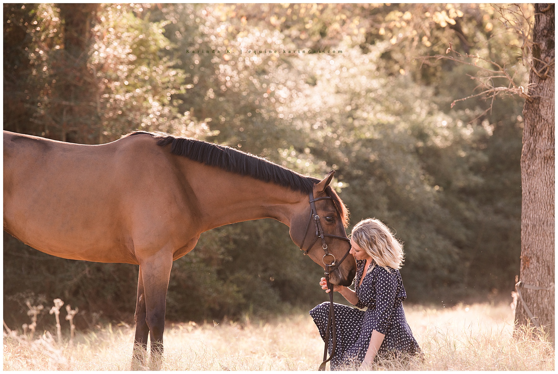 horse and rider portrait kneeling pose katy, tx 