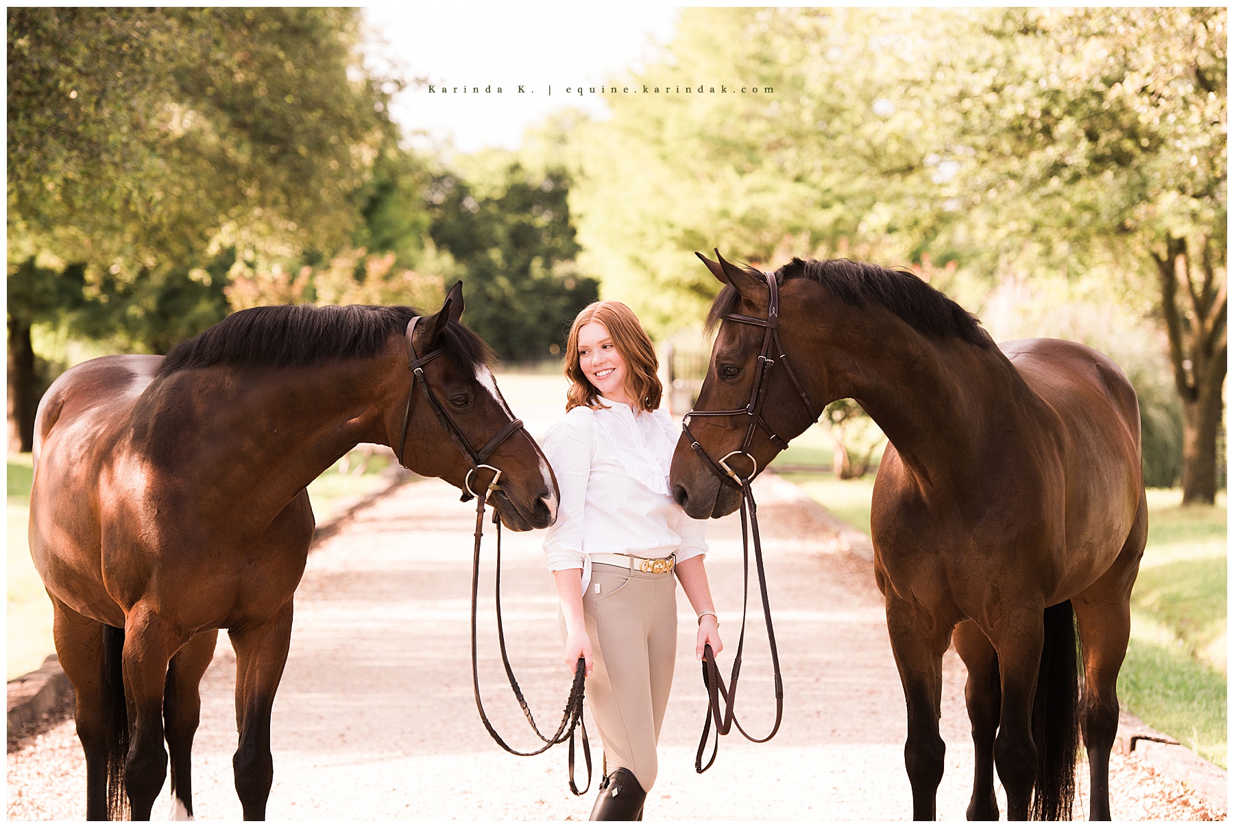 horse and rider portraits cypress, tx