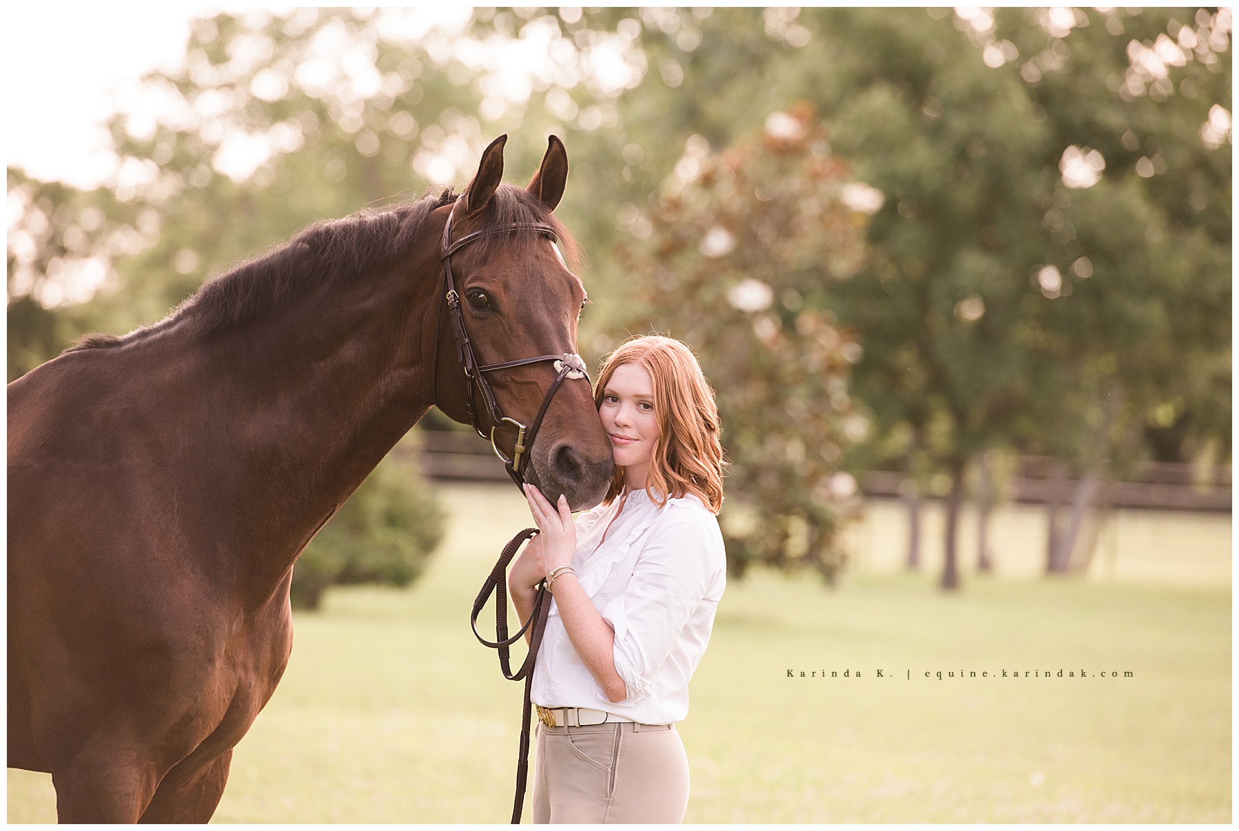 cypress equine photographer 