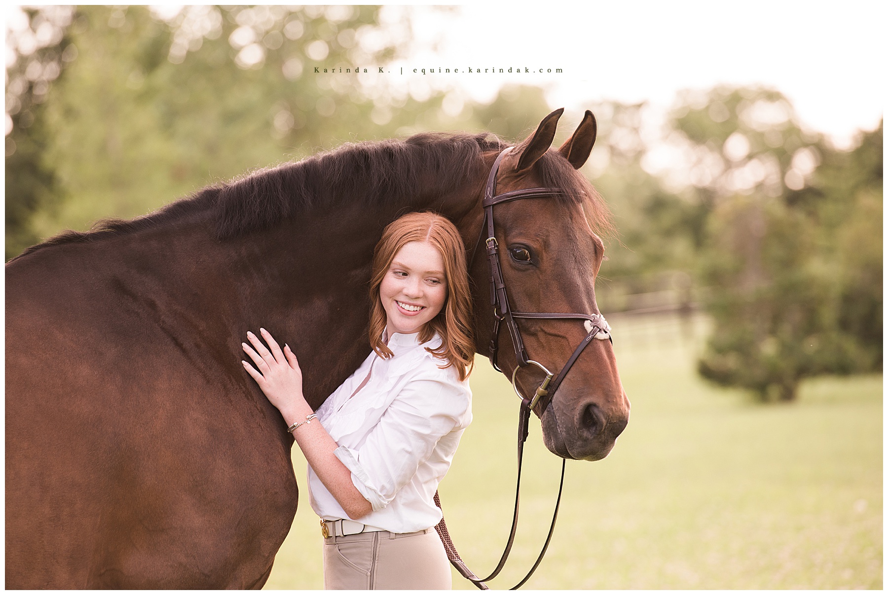 hunter jumper equine photographer  