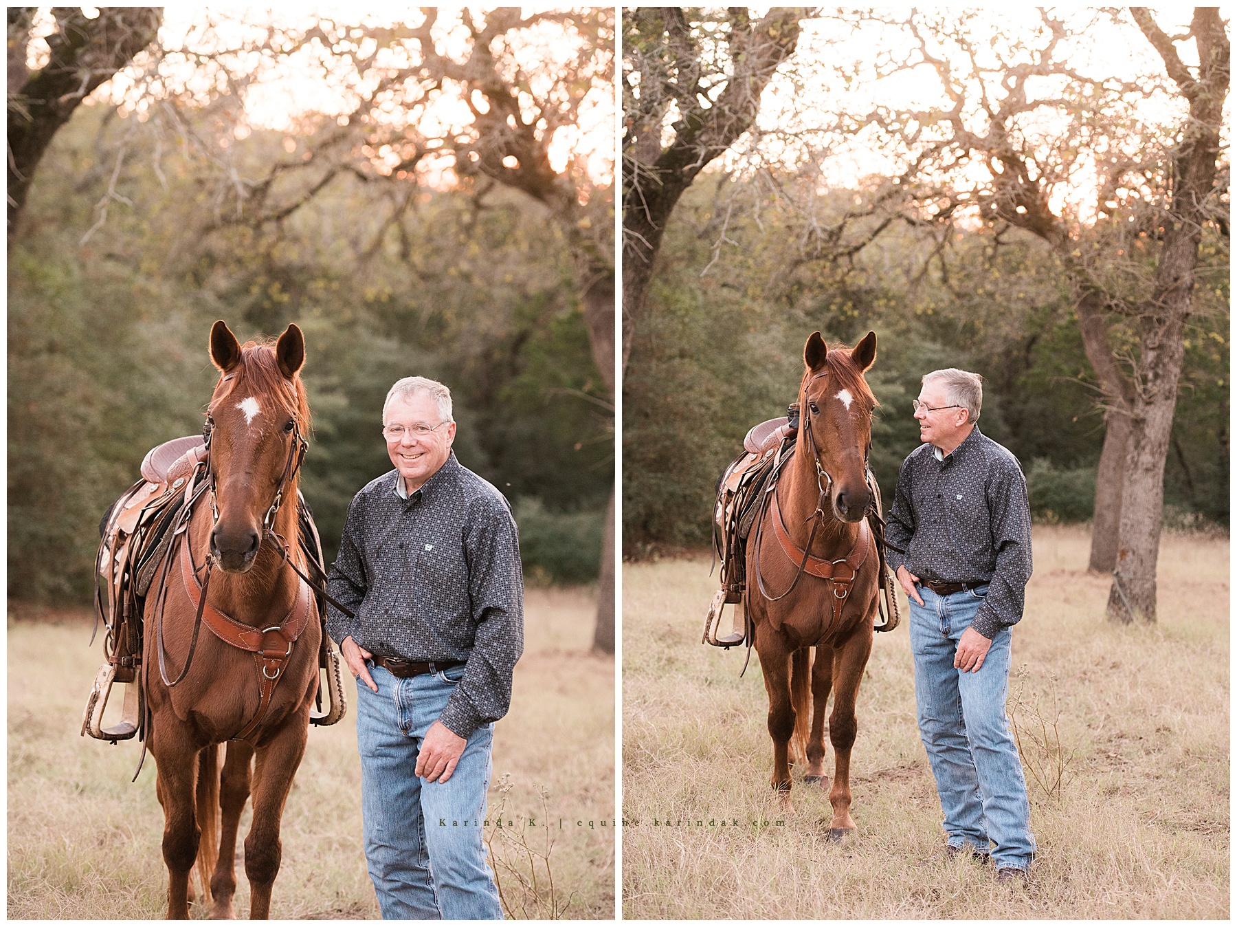 dr. stone katy, tx vet 
