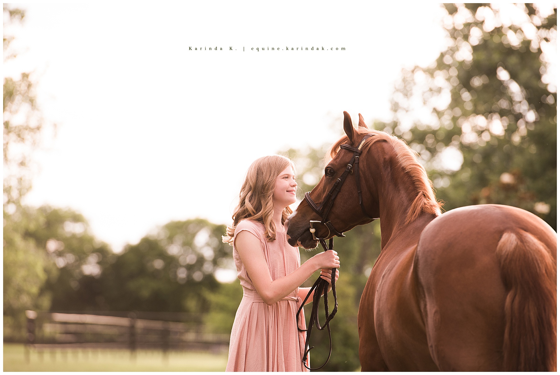 hose and rider portrait with rider in dress ideas