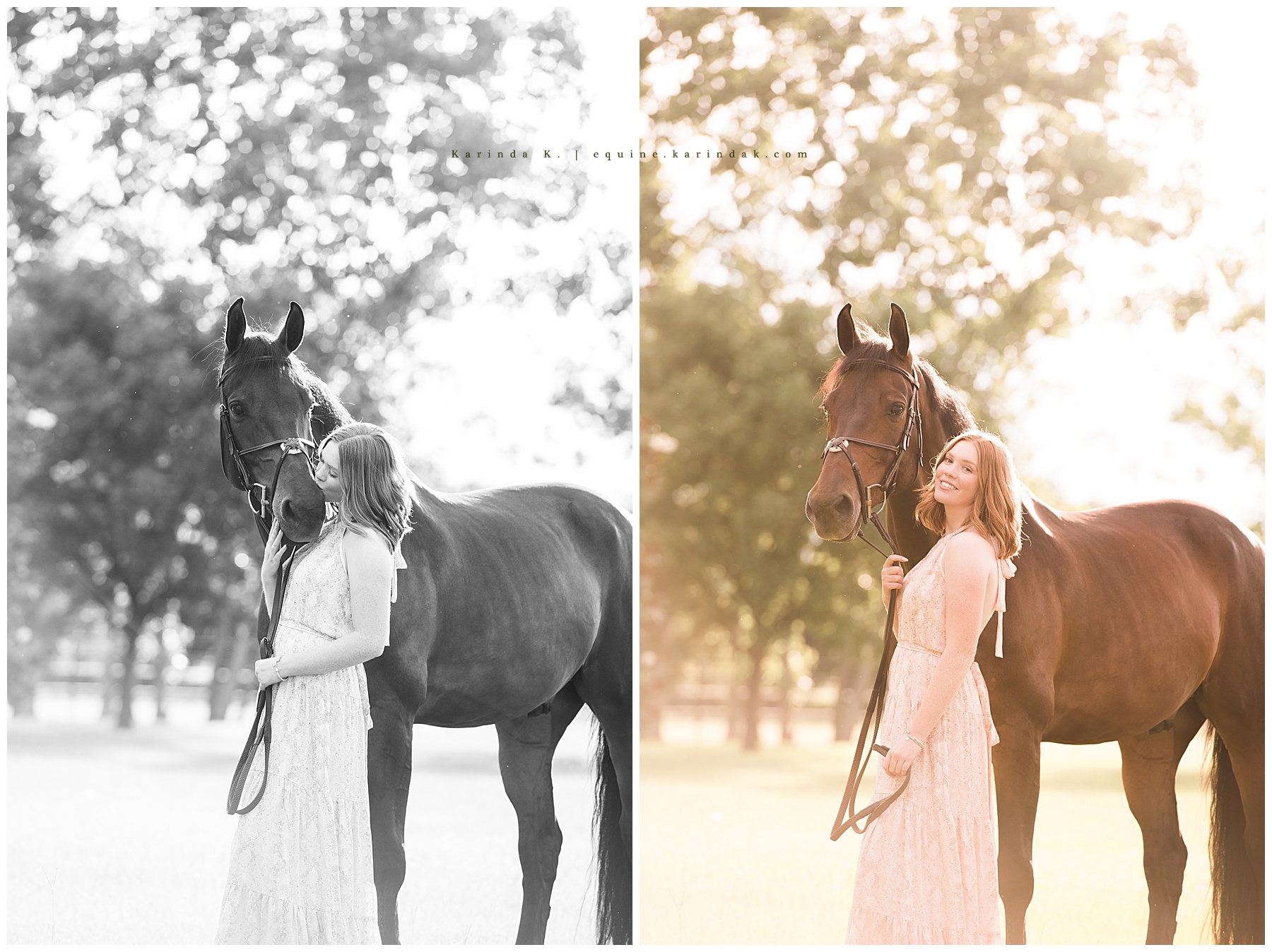 horse portraits black and white vs color 
