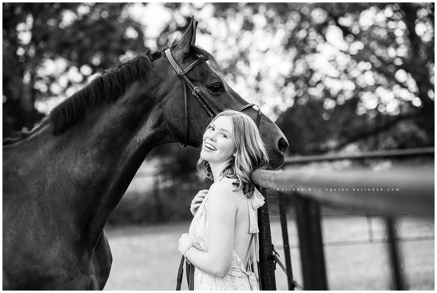 black and white horse portraits 