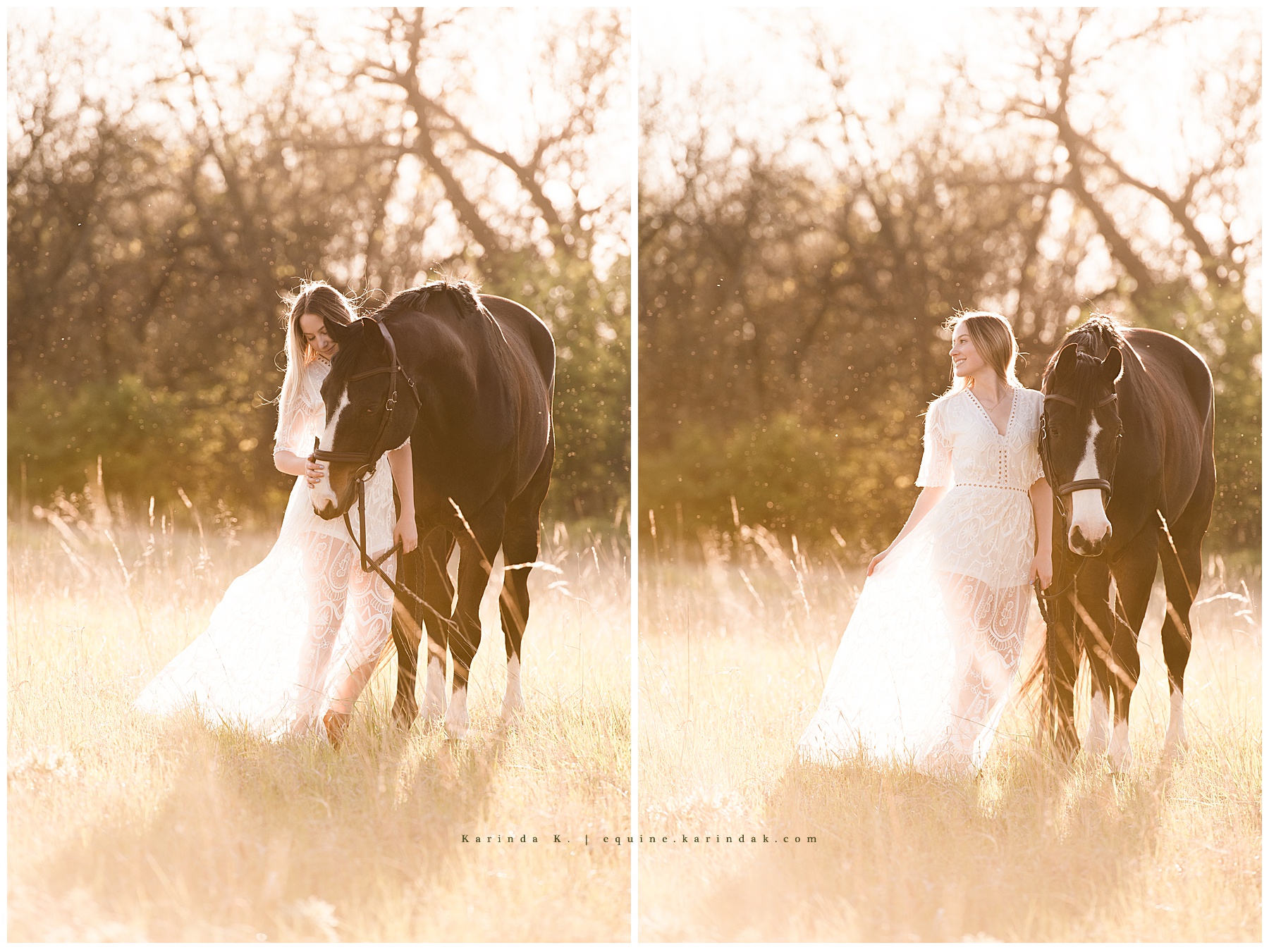 horse and rider portrait wearing lace flowy dress 